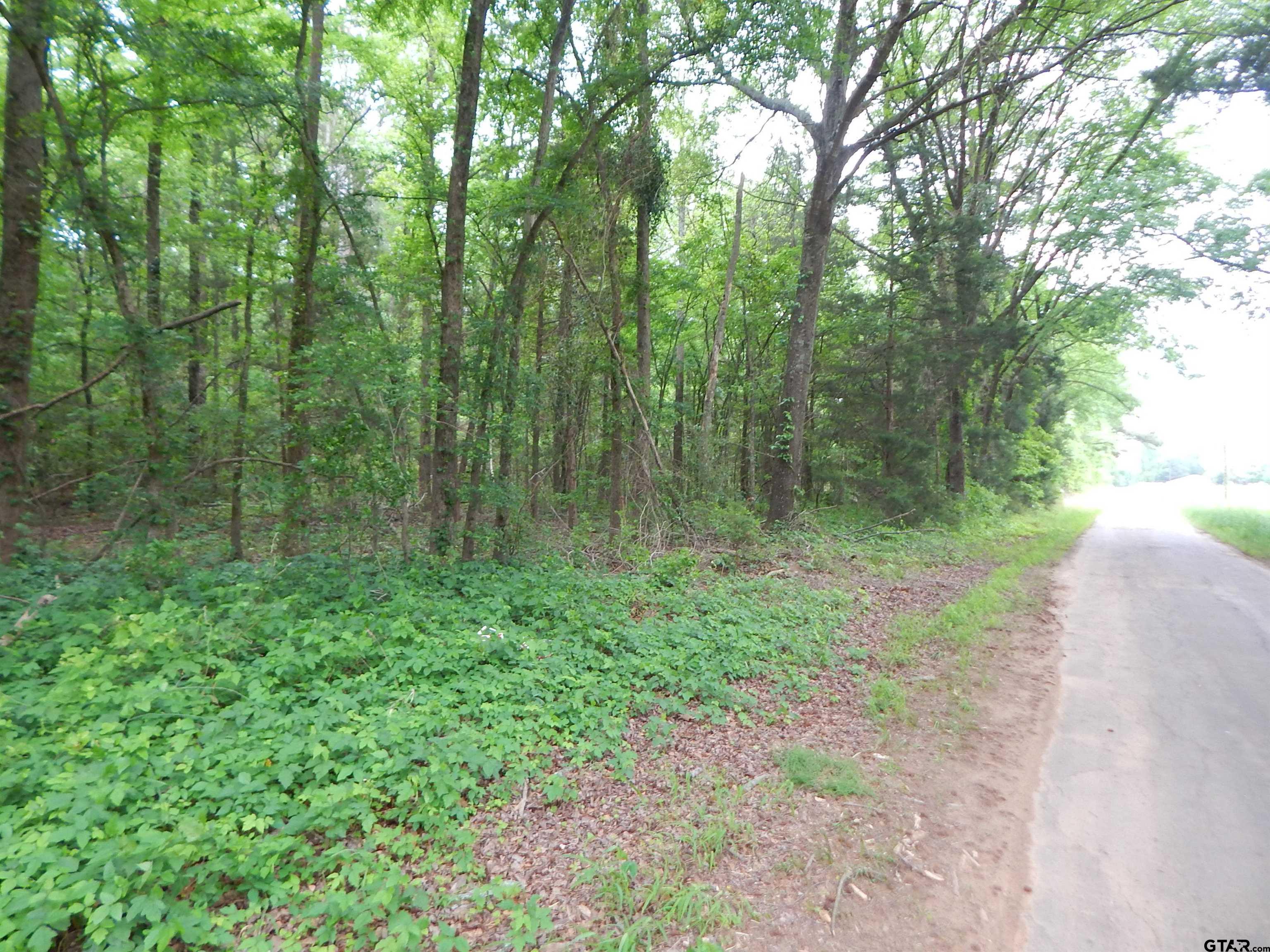 Tbd 3.07 Acre Woodchuck Rd Property Photo 1