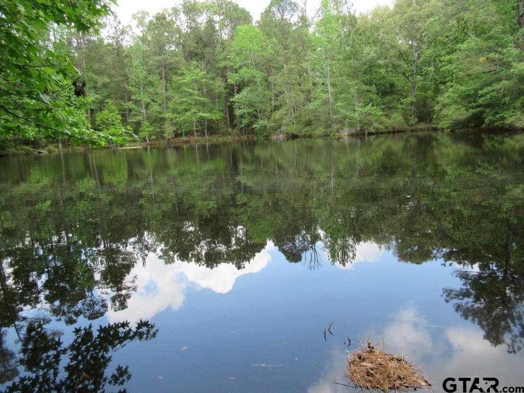 35.941 Ac Cr 2130 Property Photo 1