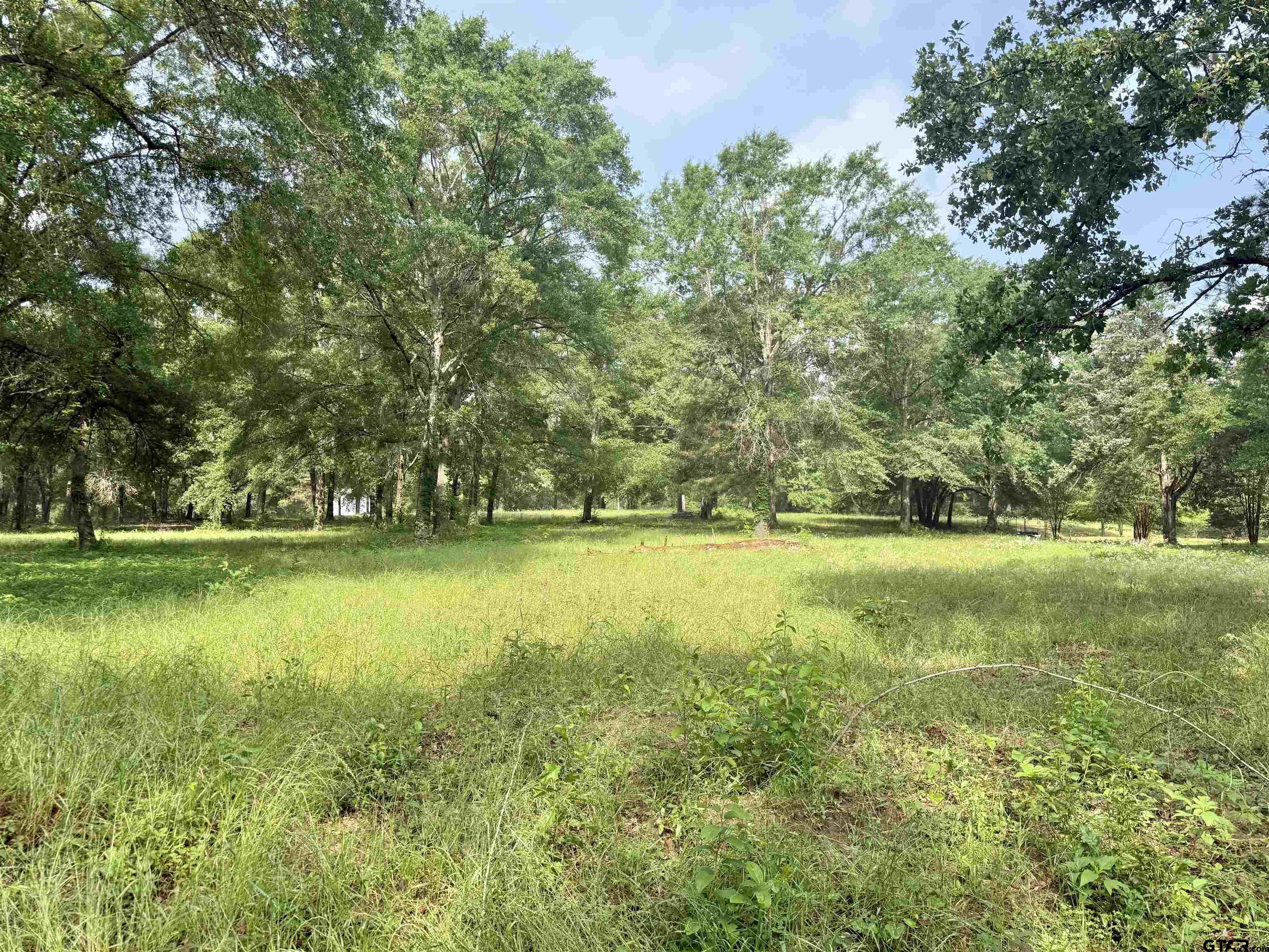 Tbd Bailey Lane Property Photo 1