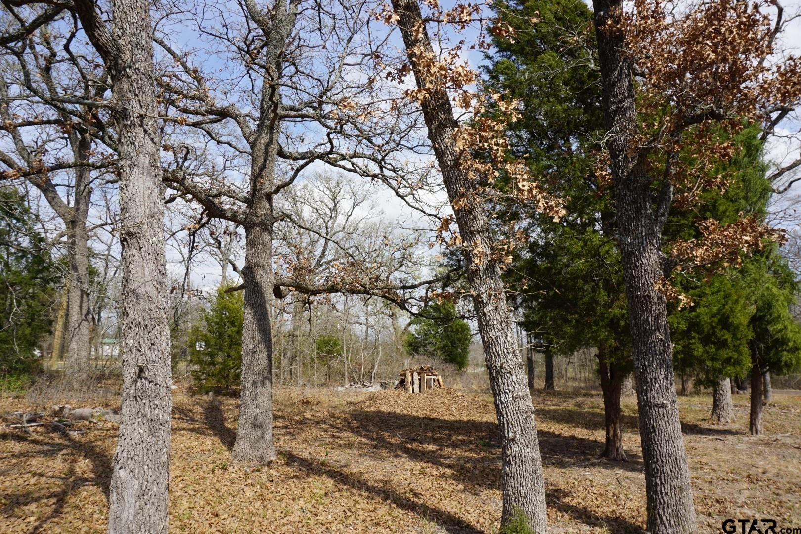 1698 Doc Holiday Property Photo 1