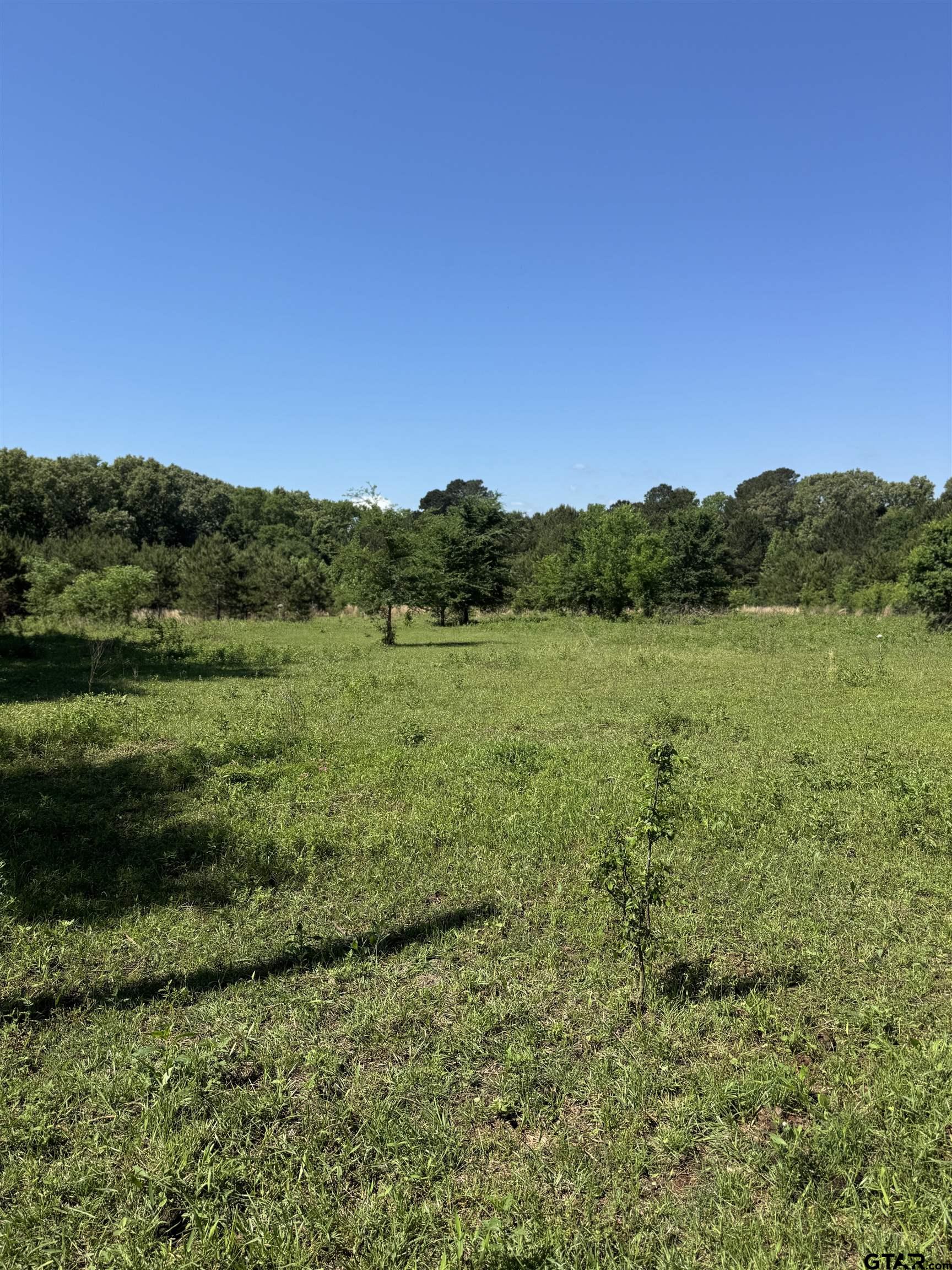 653 Fm 855 W Property Photo 1