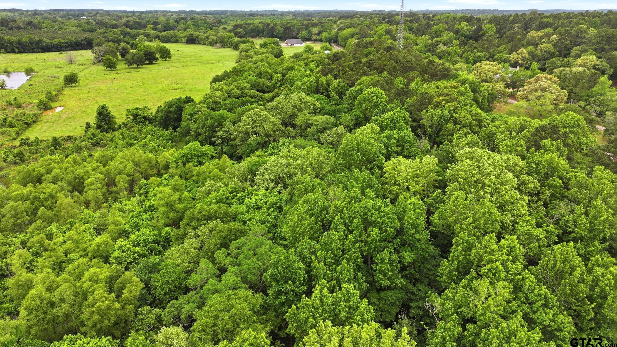 Tbd Cr 137 Property Photo 10