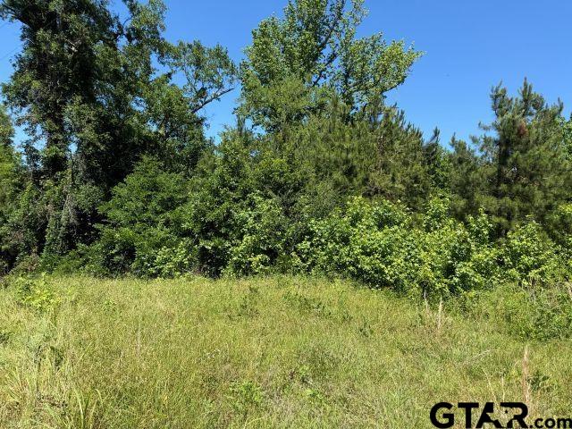 1153 Cr 342 Property Photo 5