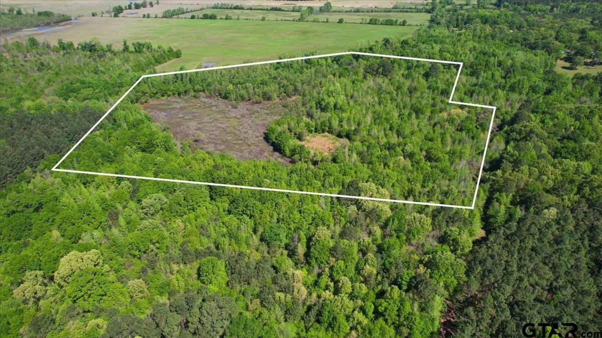 Tbd Cr 1143 Property Photo 1