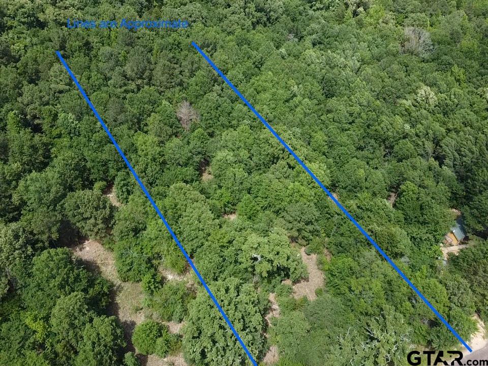 Tbd Cr 1460 Property Photo 1