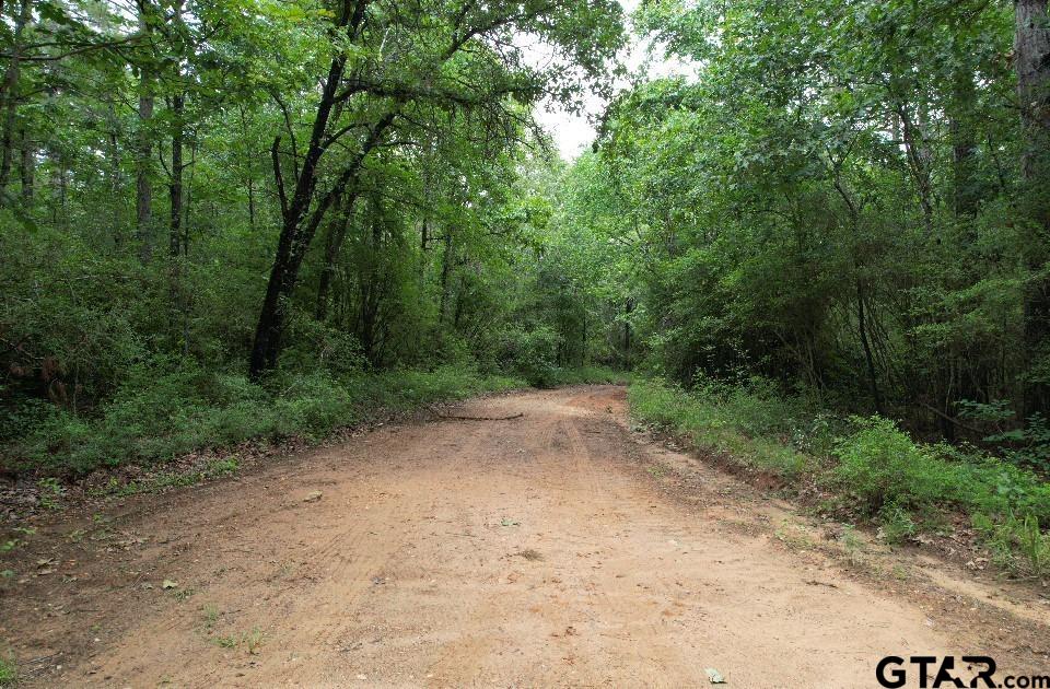 Tbd County Road 4679 Property Photo 1