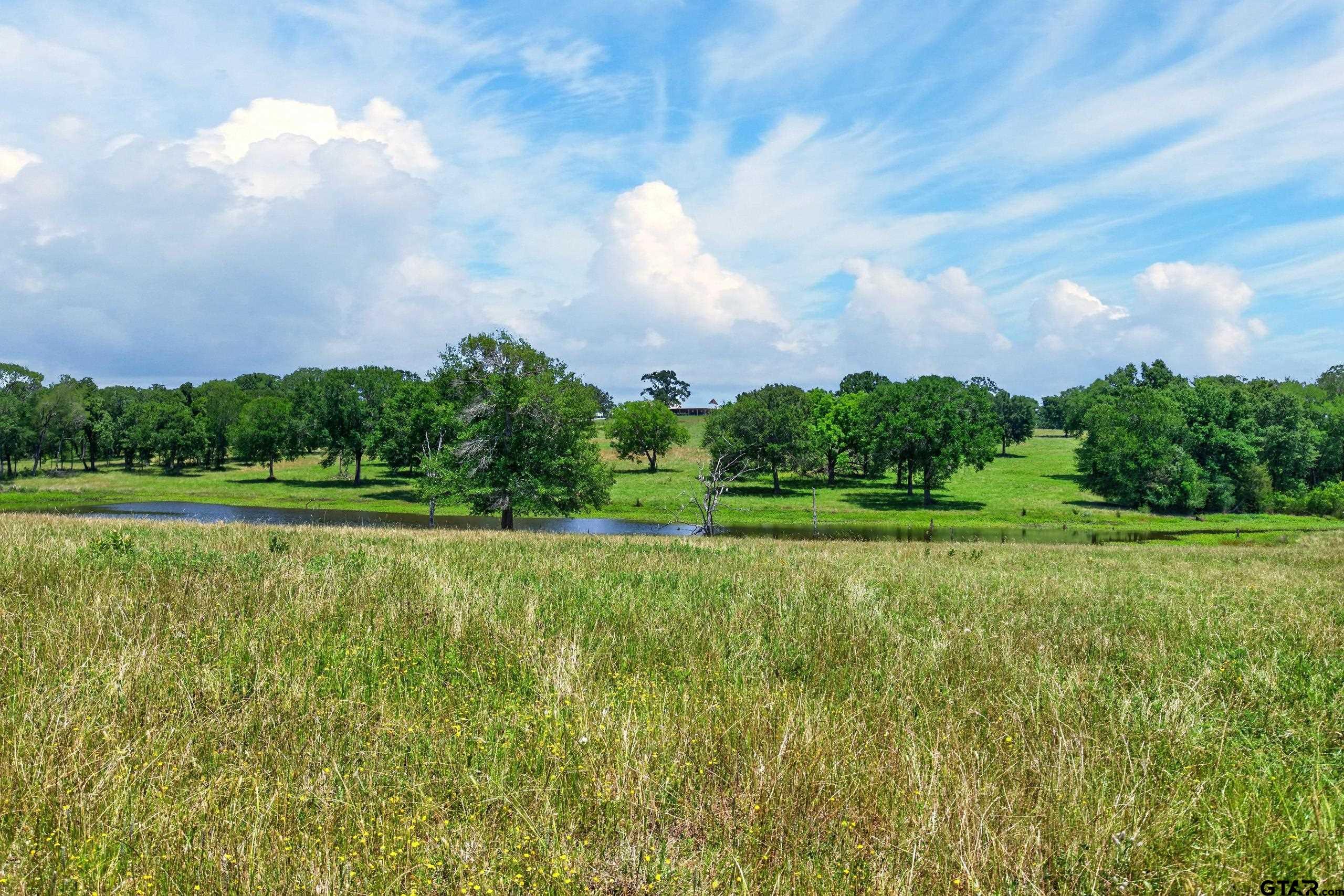 1053 Acr 499 Property Photo 9