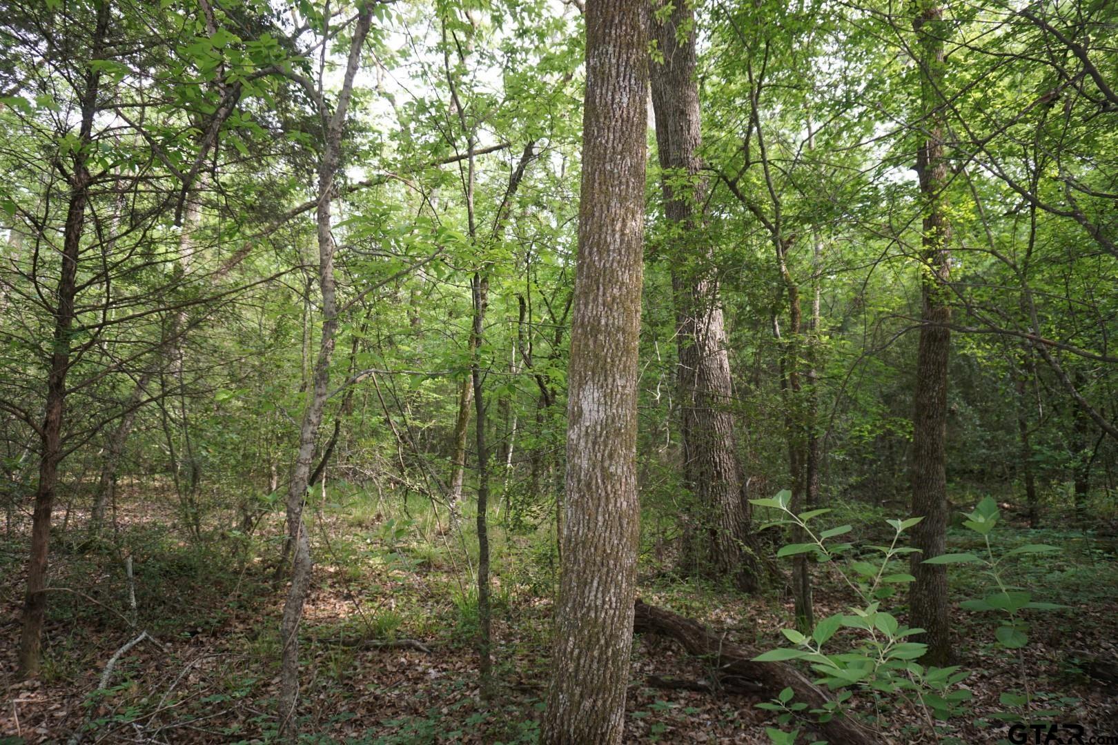 Tbd2 Cr 1200 Property Photo 1