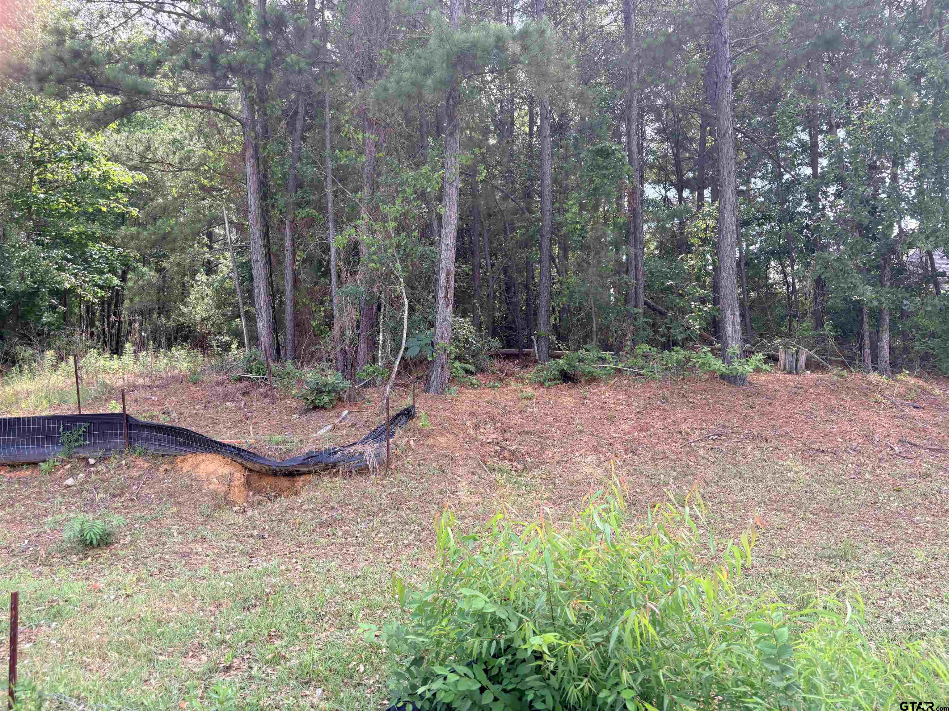 7545 Northlake Property Photo 1