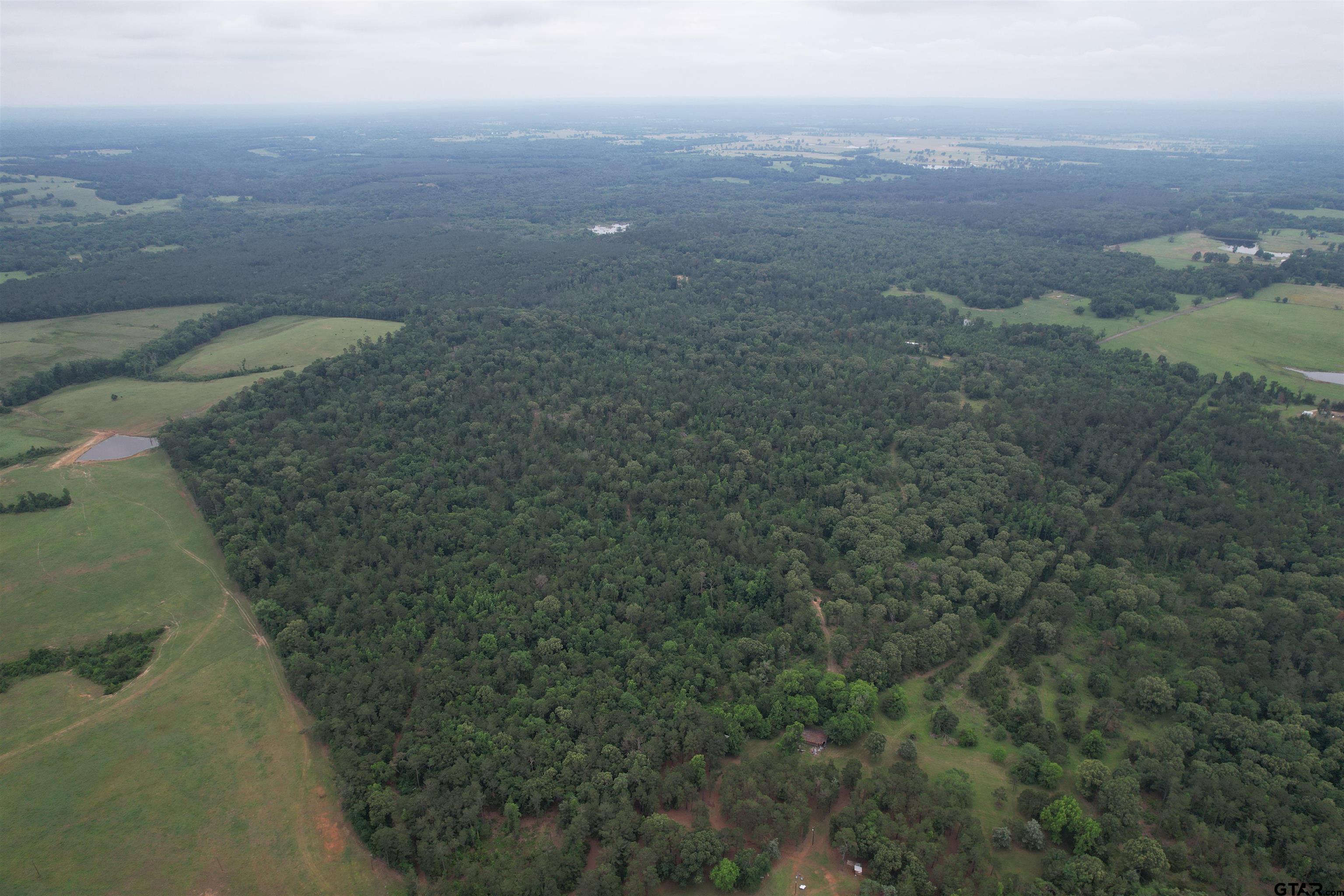 Tbd County Road 461 Property Photo 1