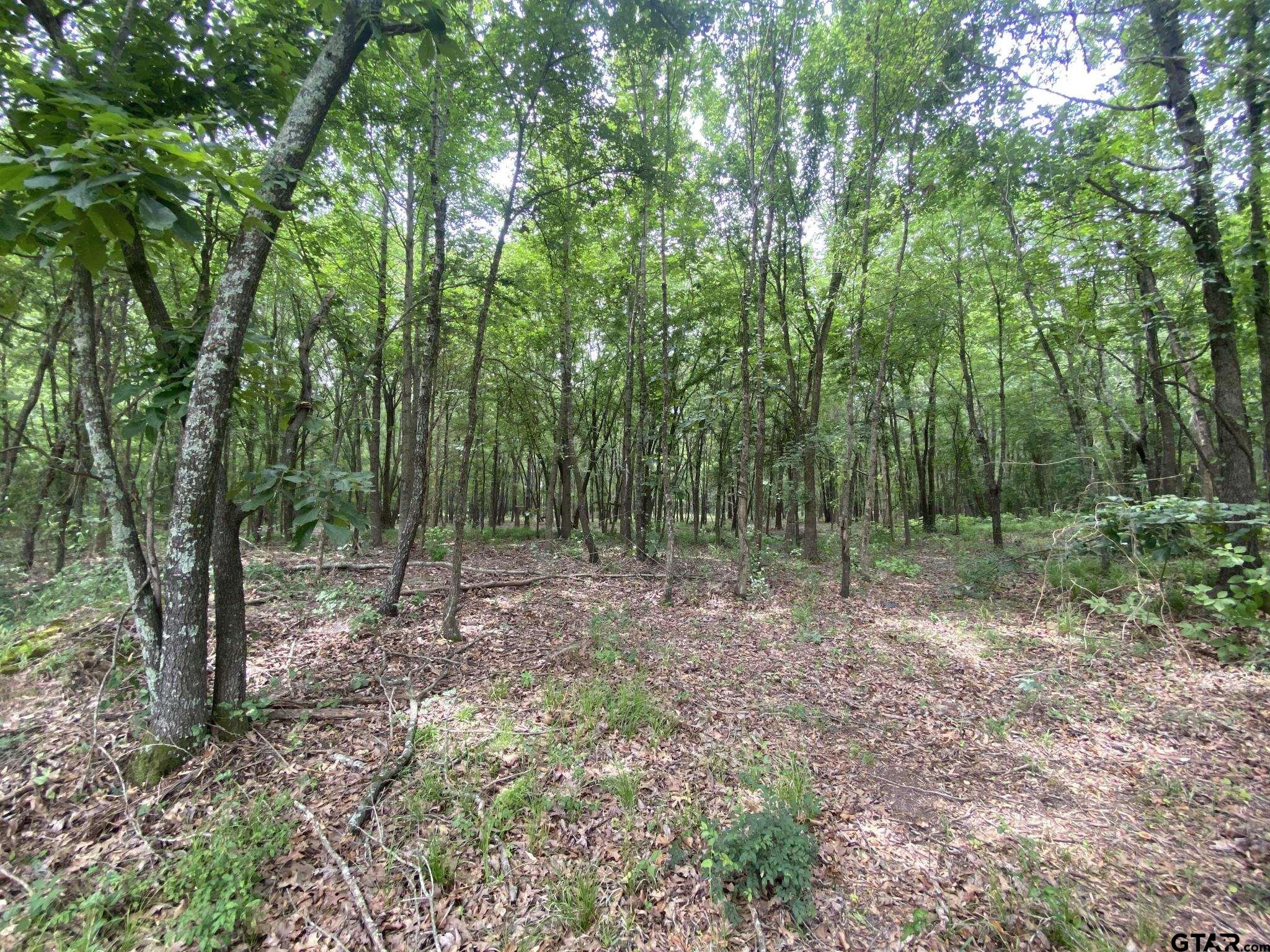 150 Cr 3927 Property Photo 1