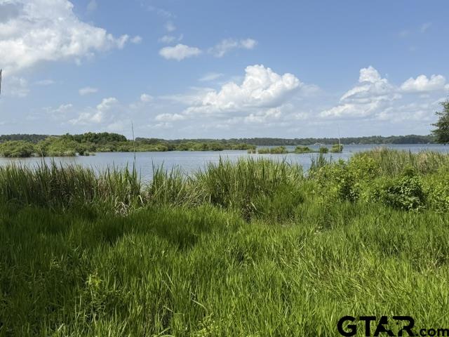 3196 Shadow Pine Dr Property Photo 1