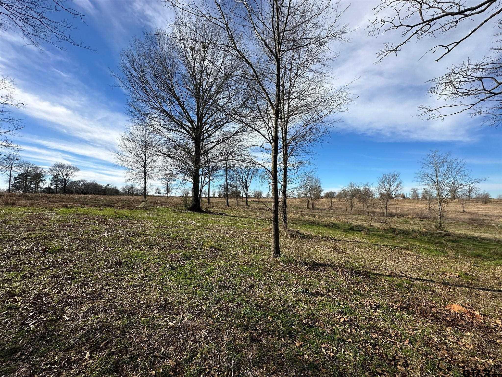 0000 County Road 2425 Property Photo 12
