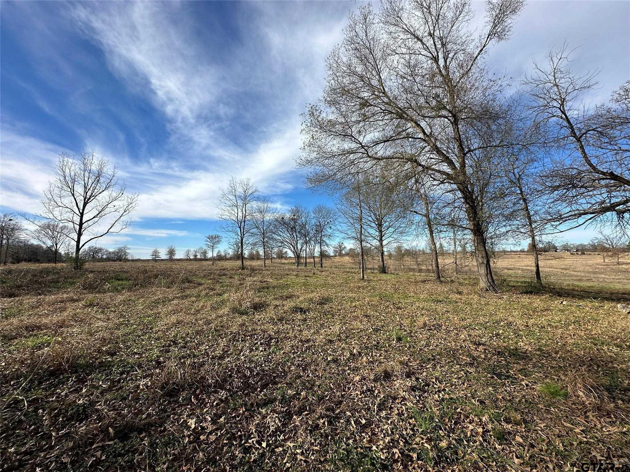 0000 County Road 2425 Property Photo 13