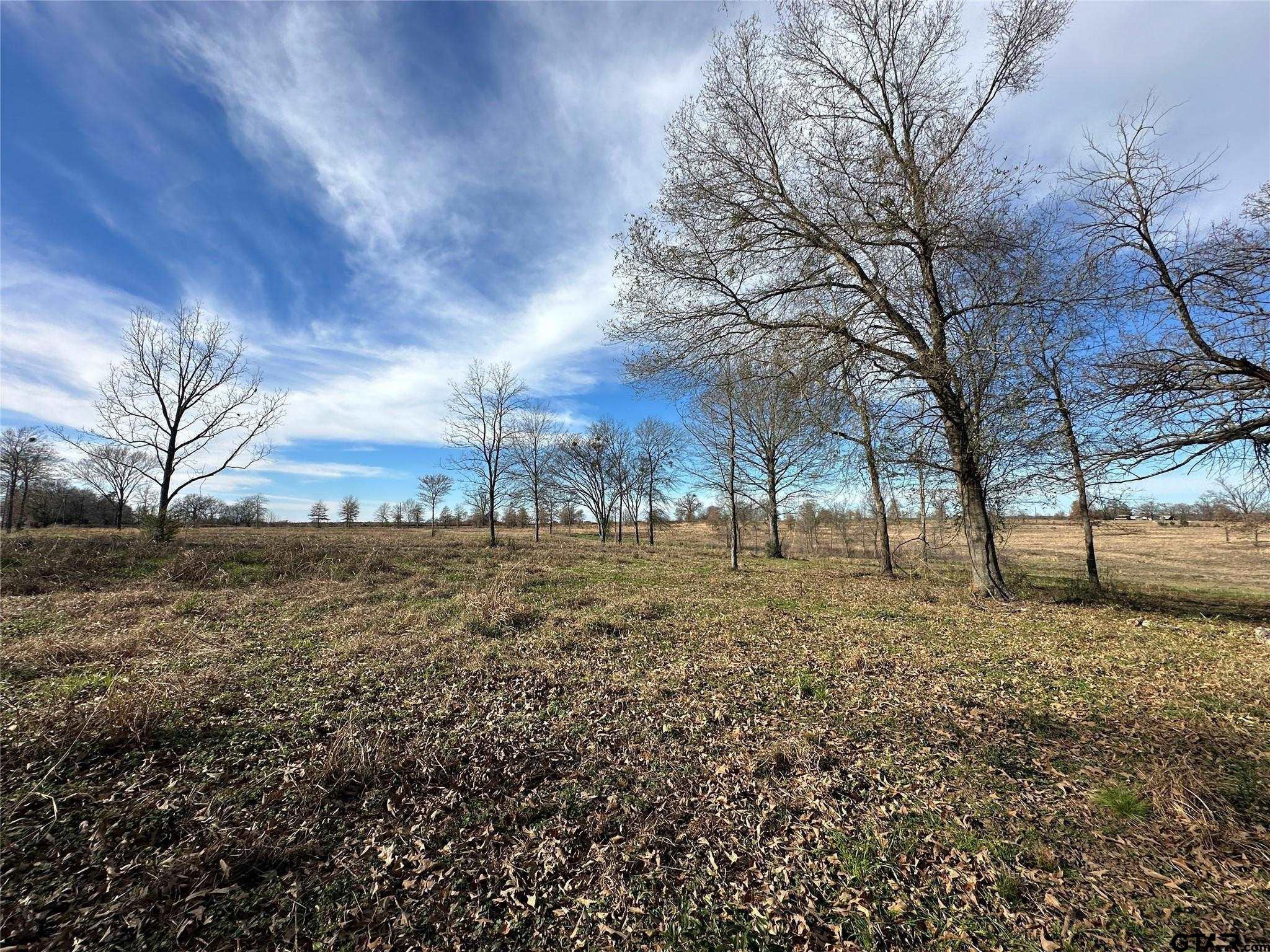 0000 County Road 2425 Property Photo 15