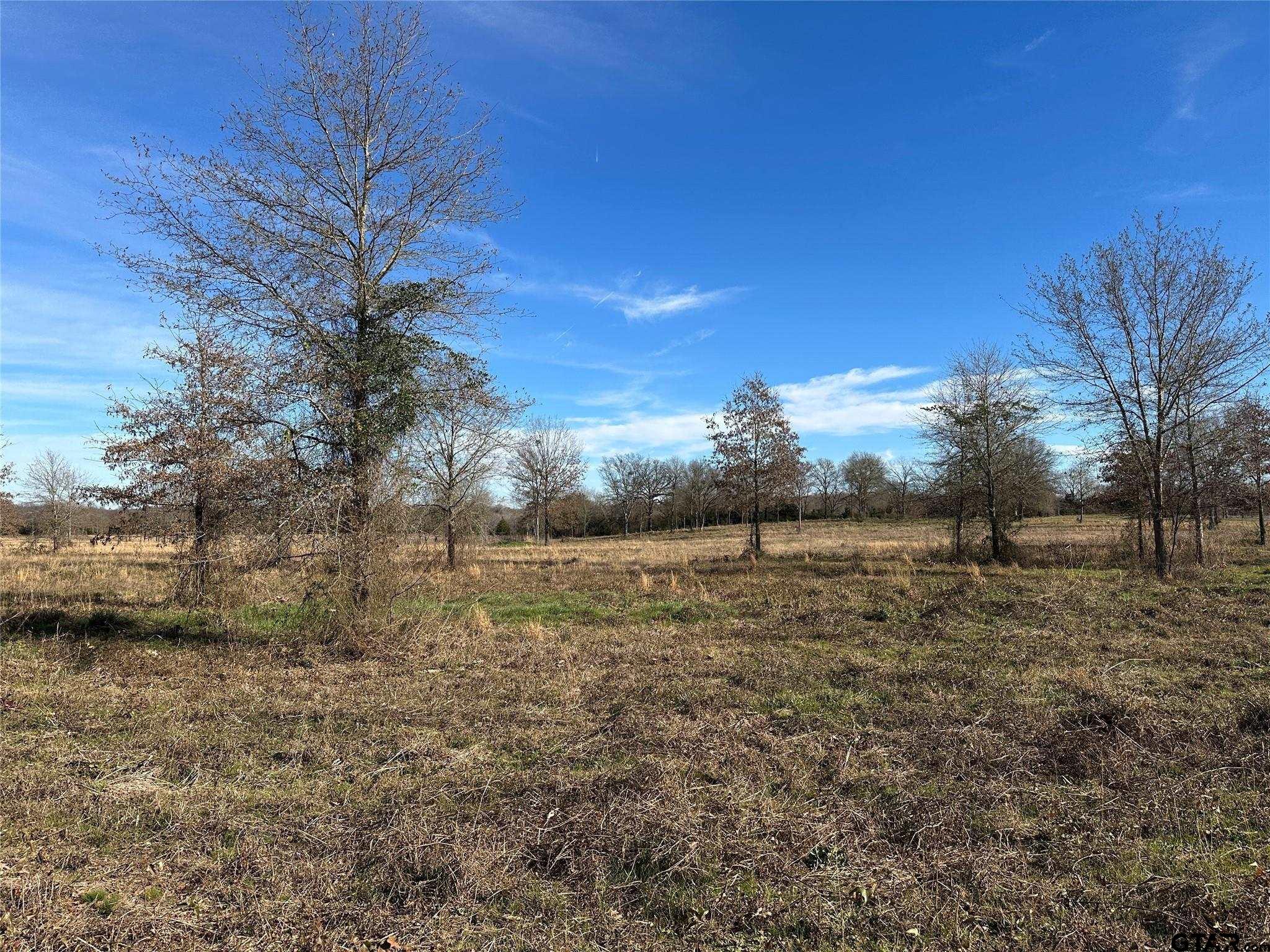 0000 County Road 2425 Property Photo 26