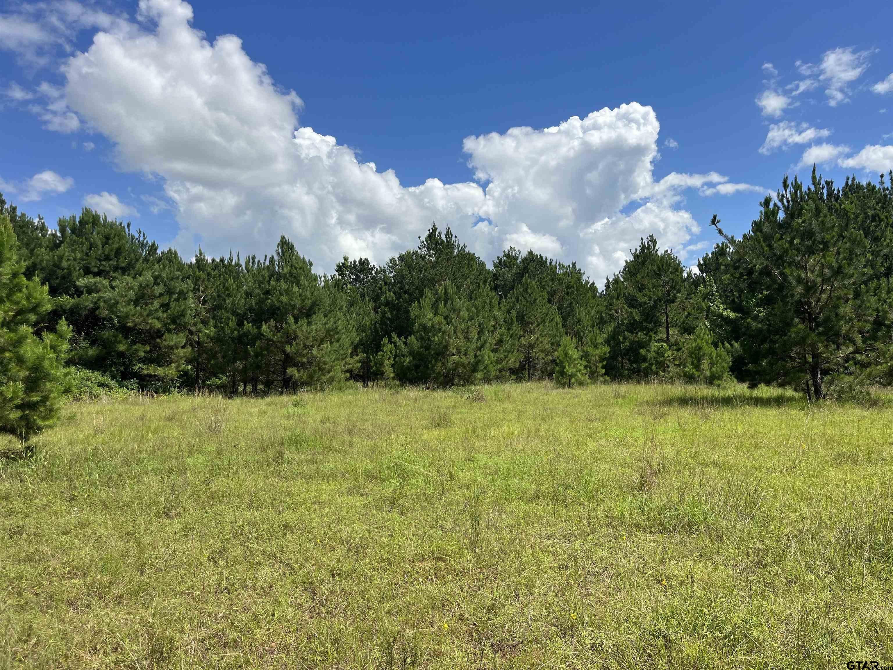 Tbd S Cr 218d Property Photo 1
