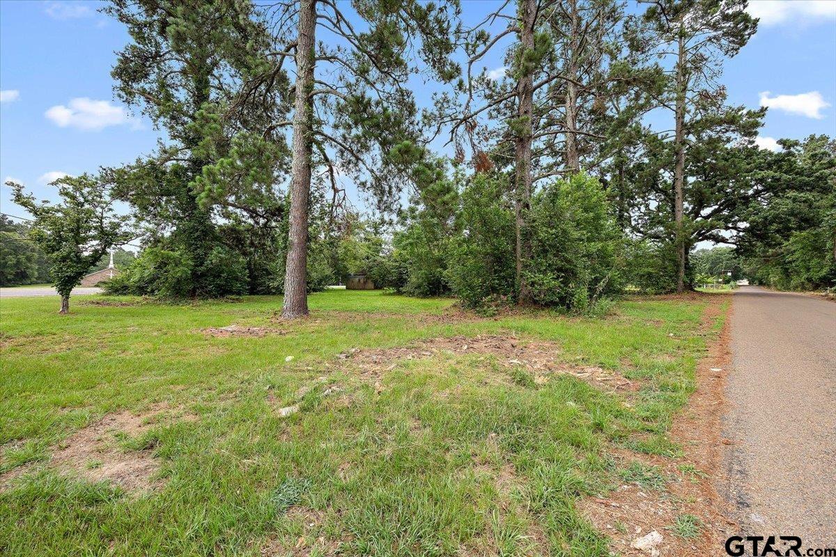 Tbd N Dickinson Property Photo 1