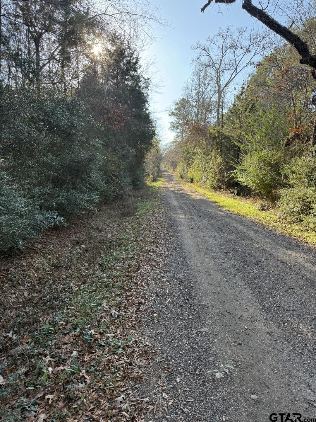 Tbd-d County Road 216 Property Photo 1