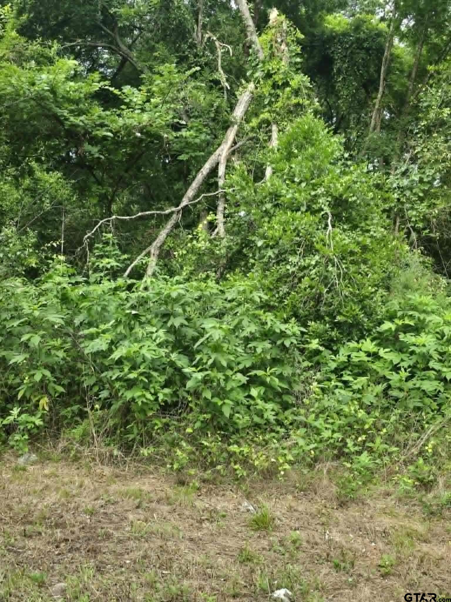 Tbd Sellars Property Photo 1