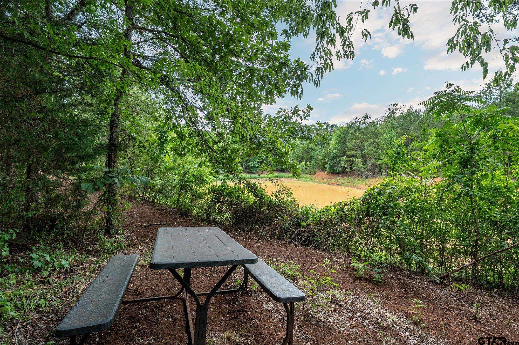 16384 County Road 440 Property Photo 1