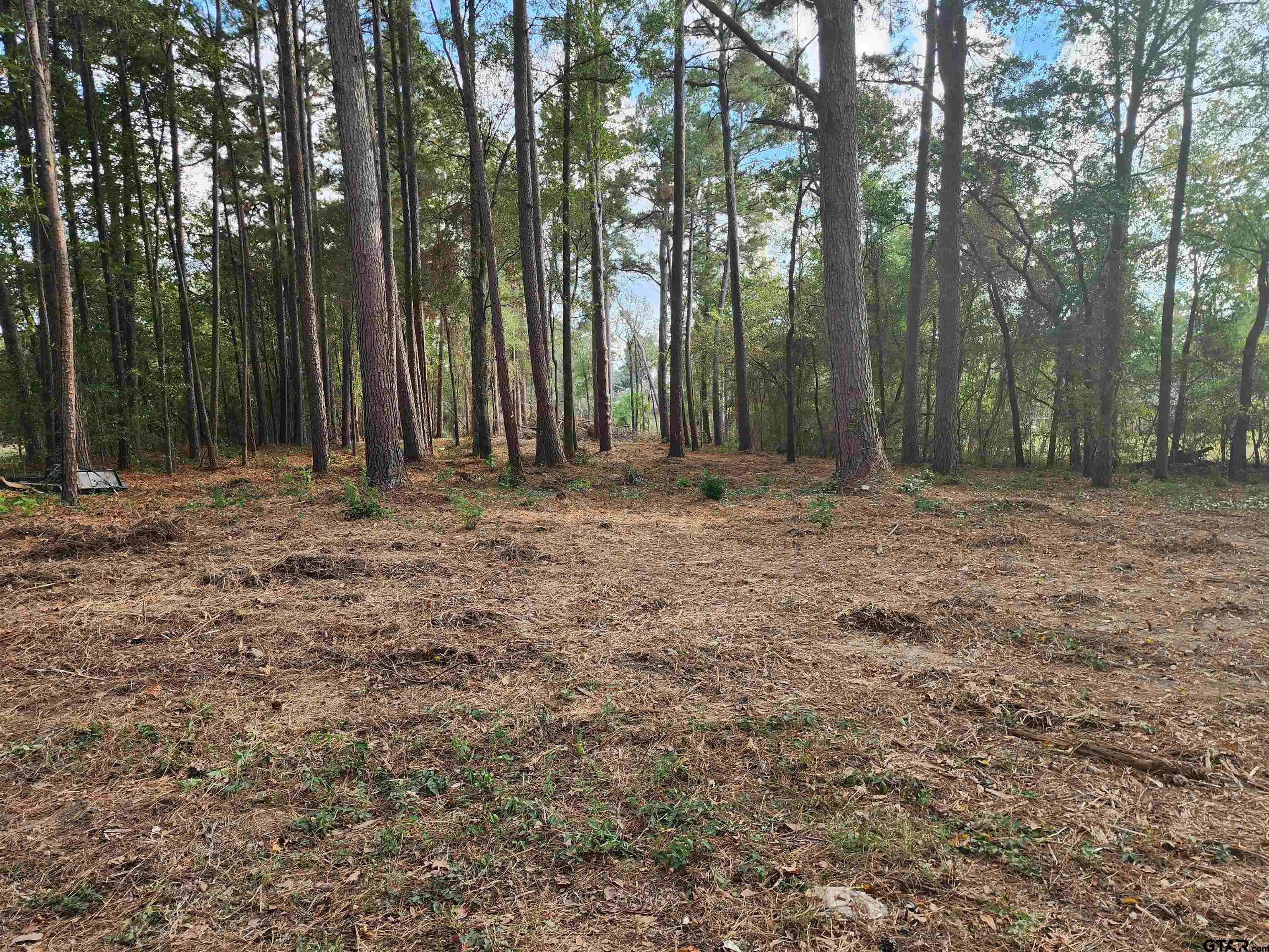 371 County Road 4152 Property Photo 1