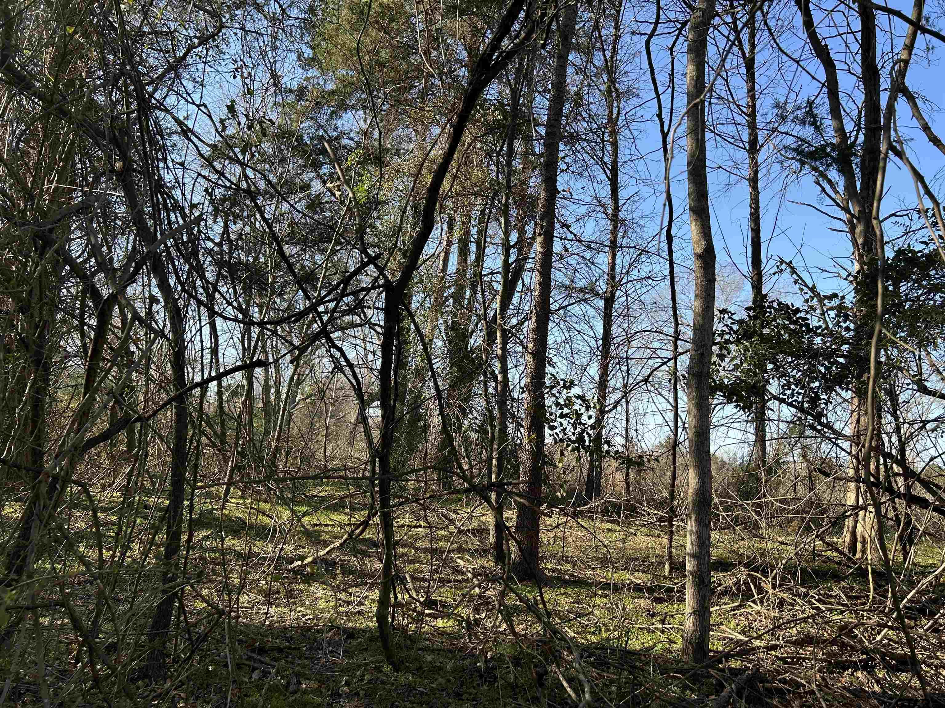 Tbd Cr 3324 Property Photo 1