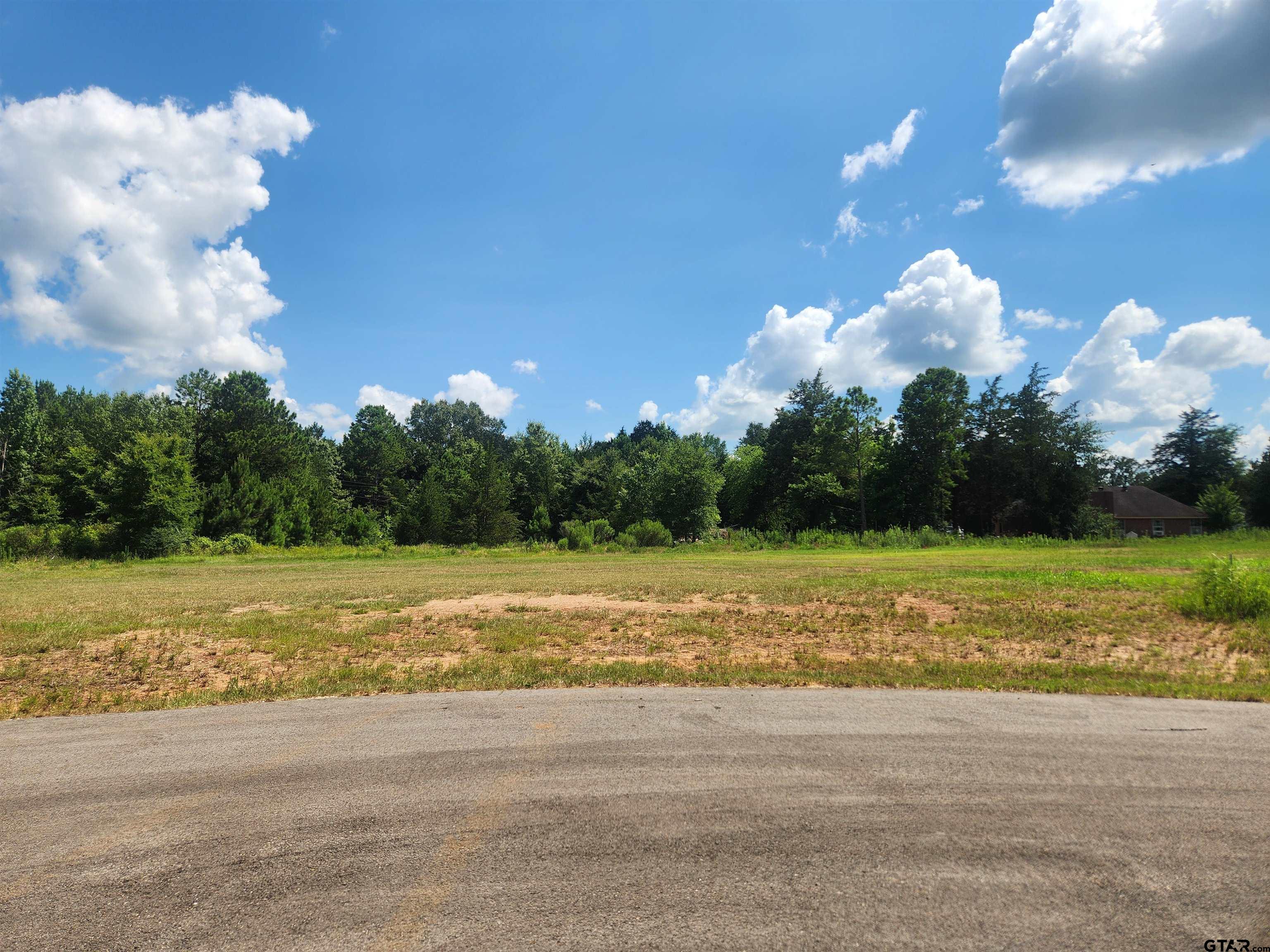 20055 Dews Ct Lot 7 Property Photo 1