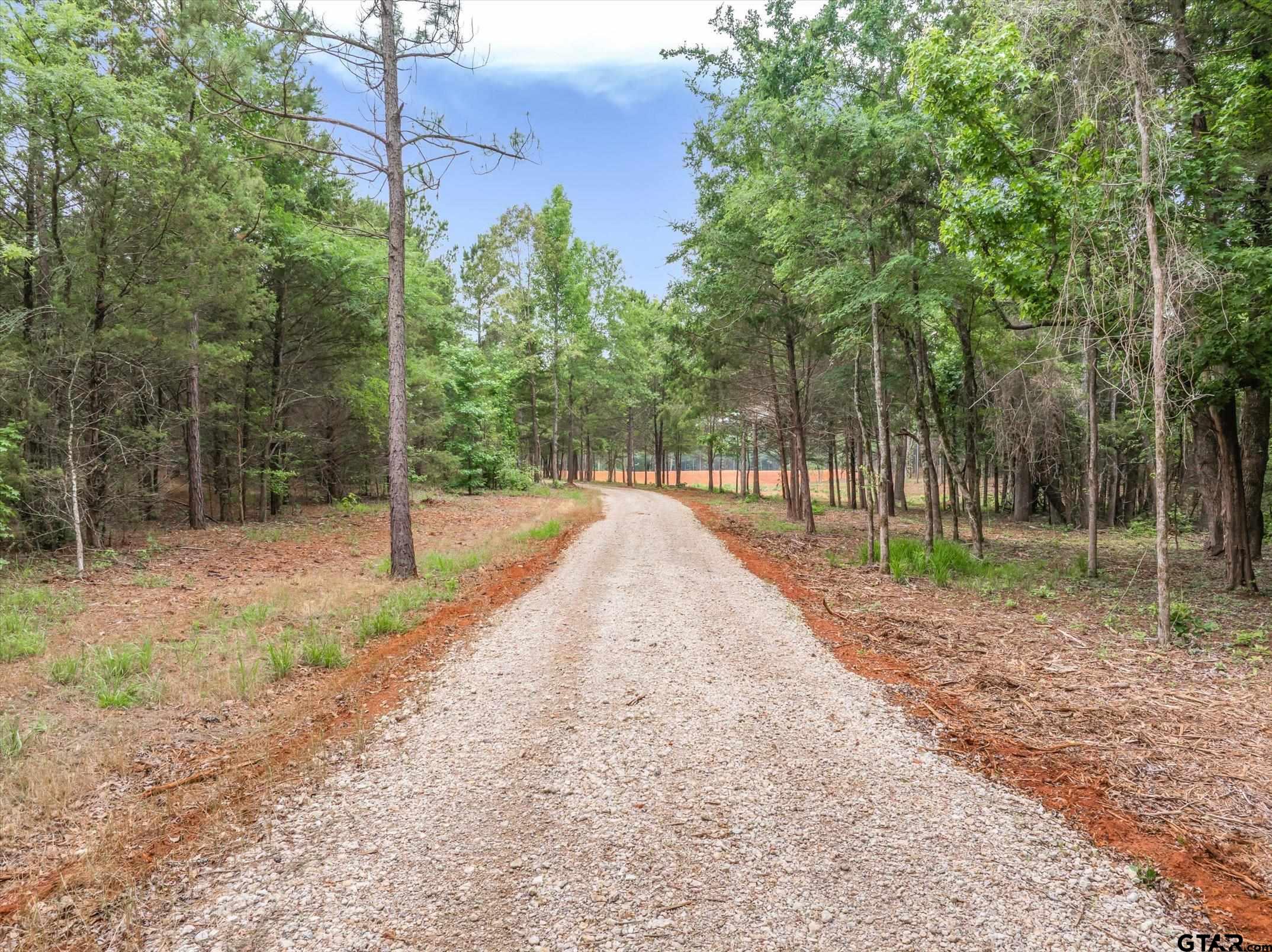 Tbd C R 440 Property Photo 10