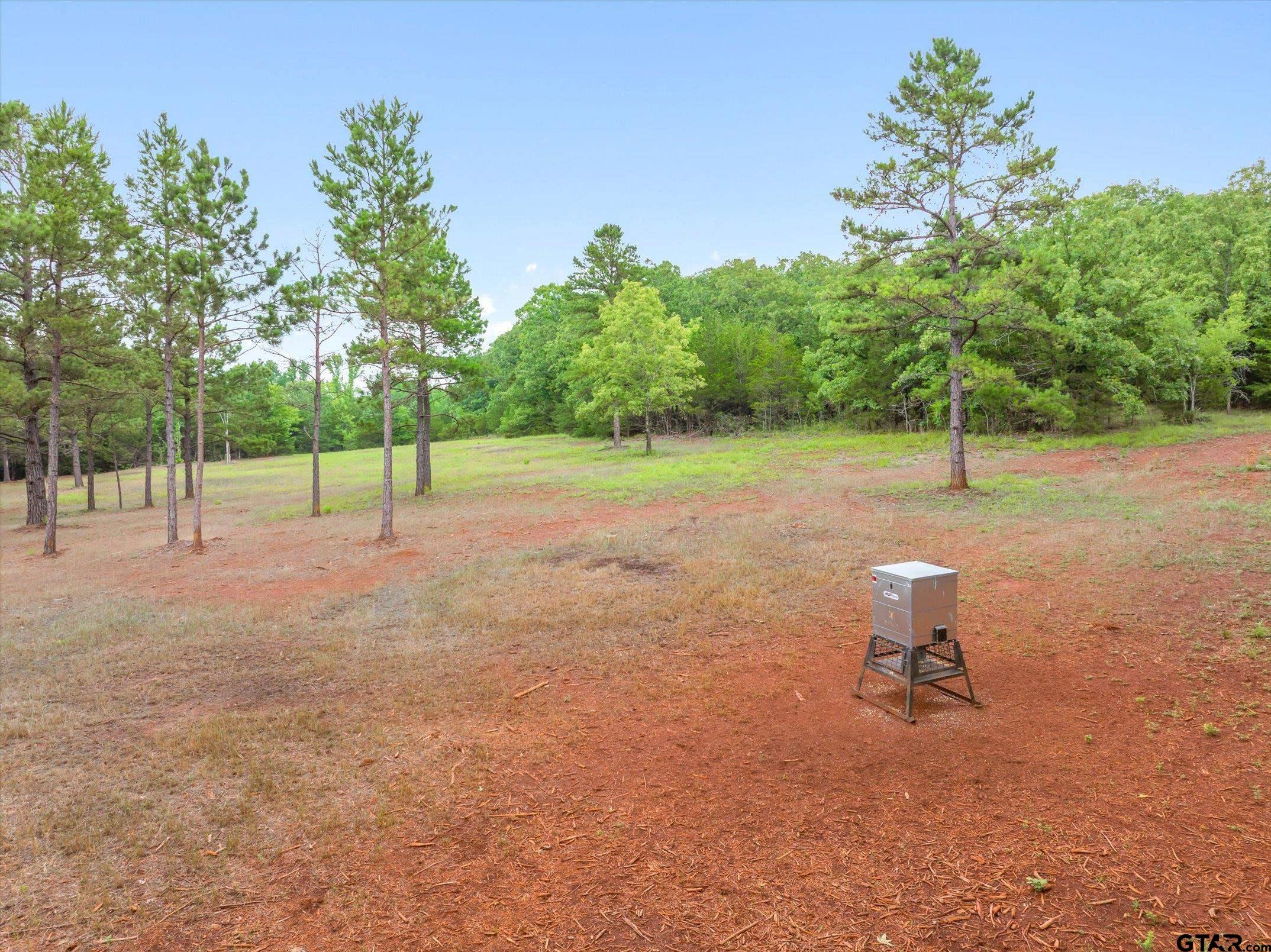Tbd C R 440 Property Photo 12