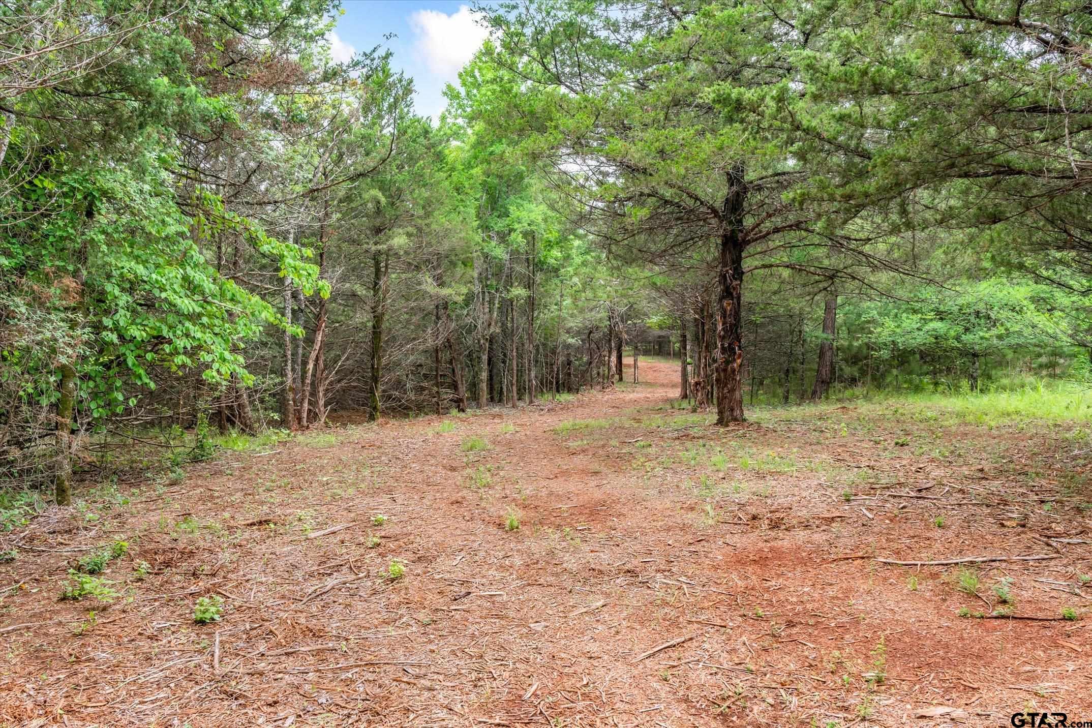 Tbd C R 440 Property Photo 14