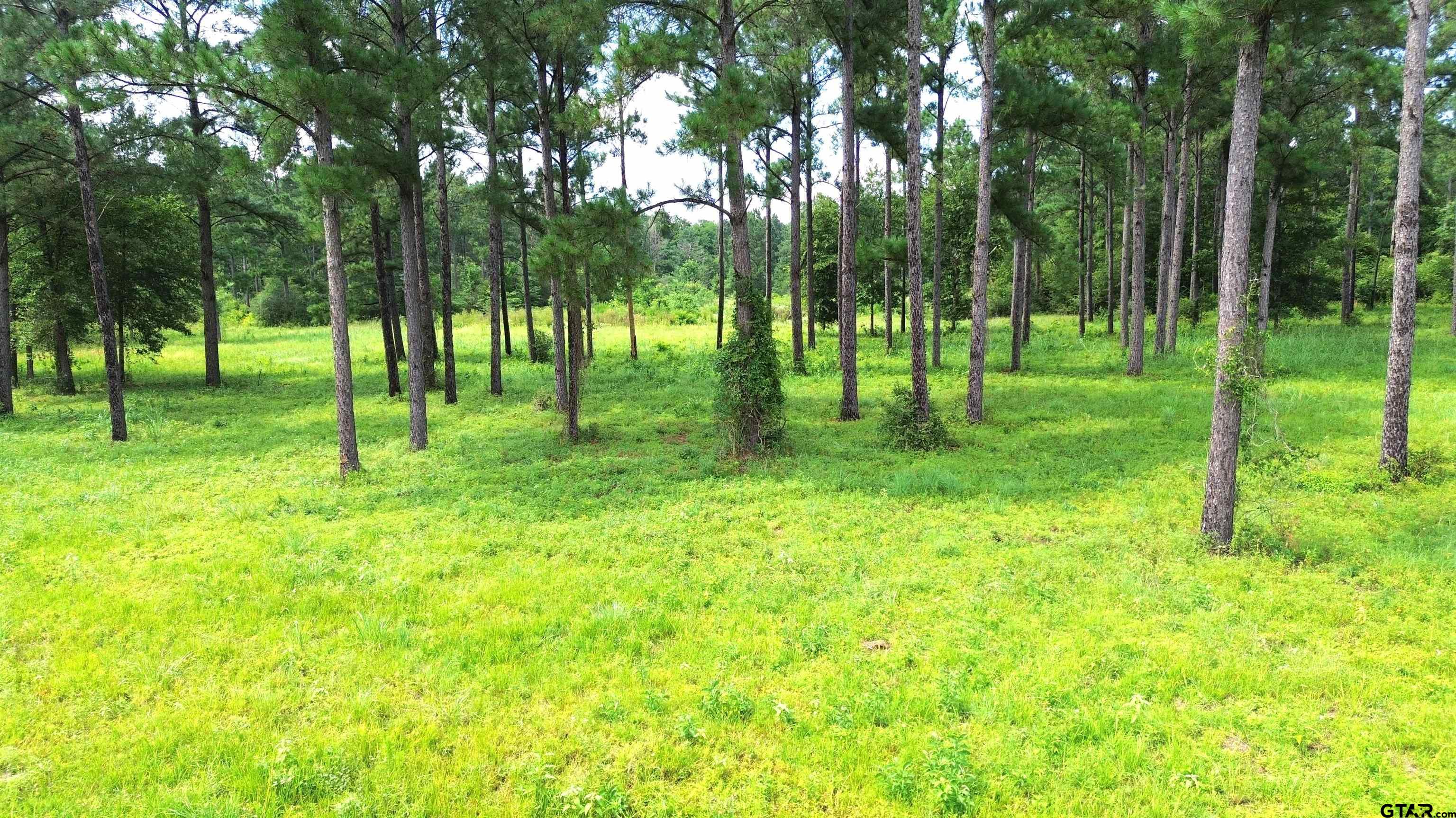 1320 Buckhorn Creek Drive Property Photo 3