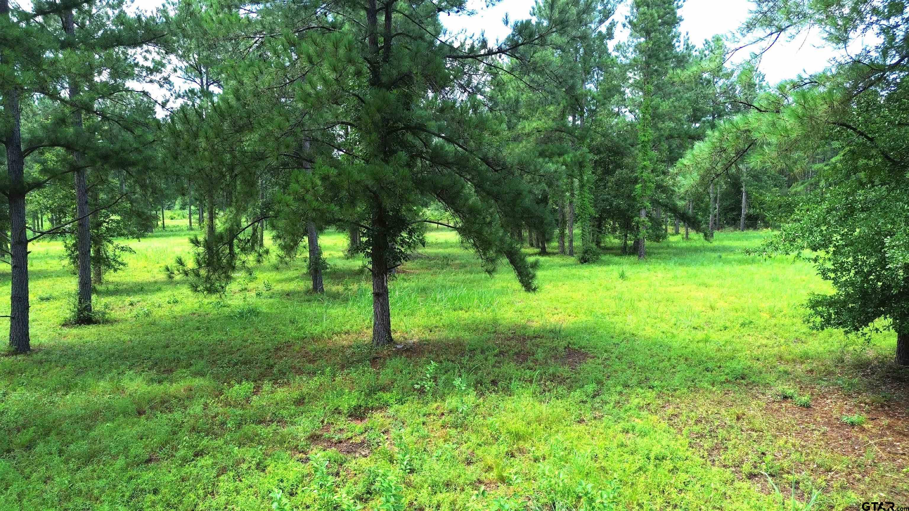 1320 Buckhorn Creek Drive Property Photo 12