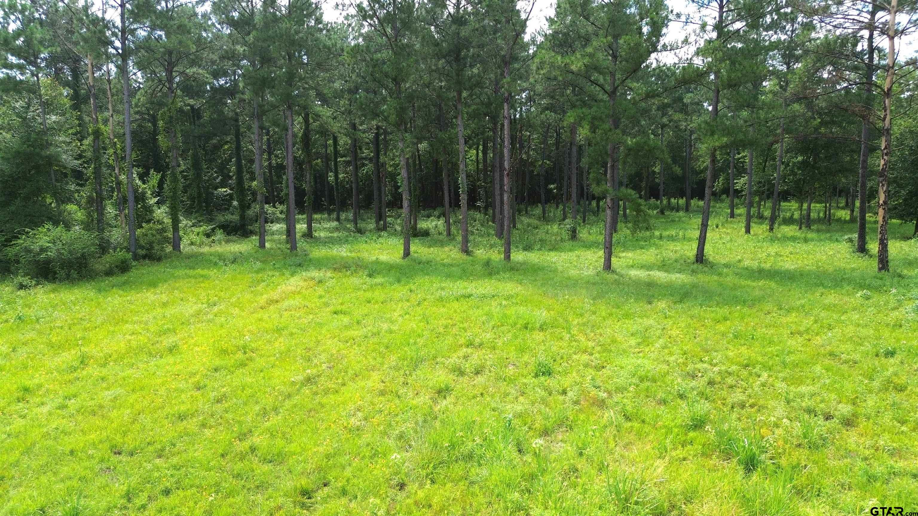 1320 Buckhorn Creek Drive Property Photo 15