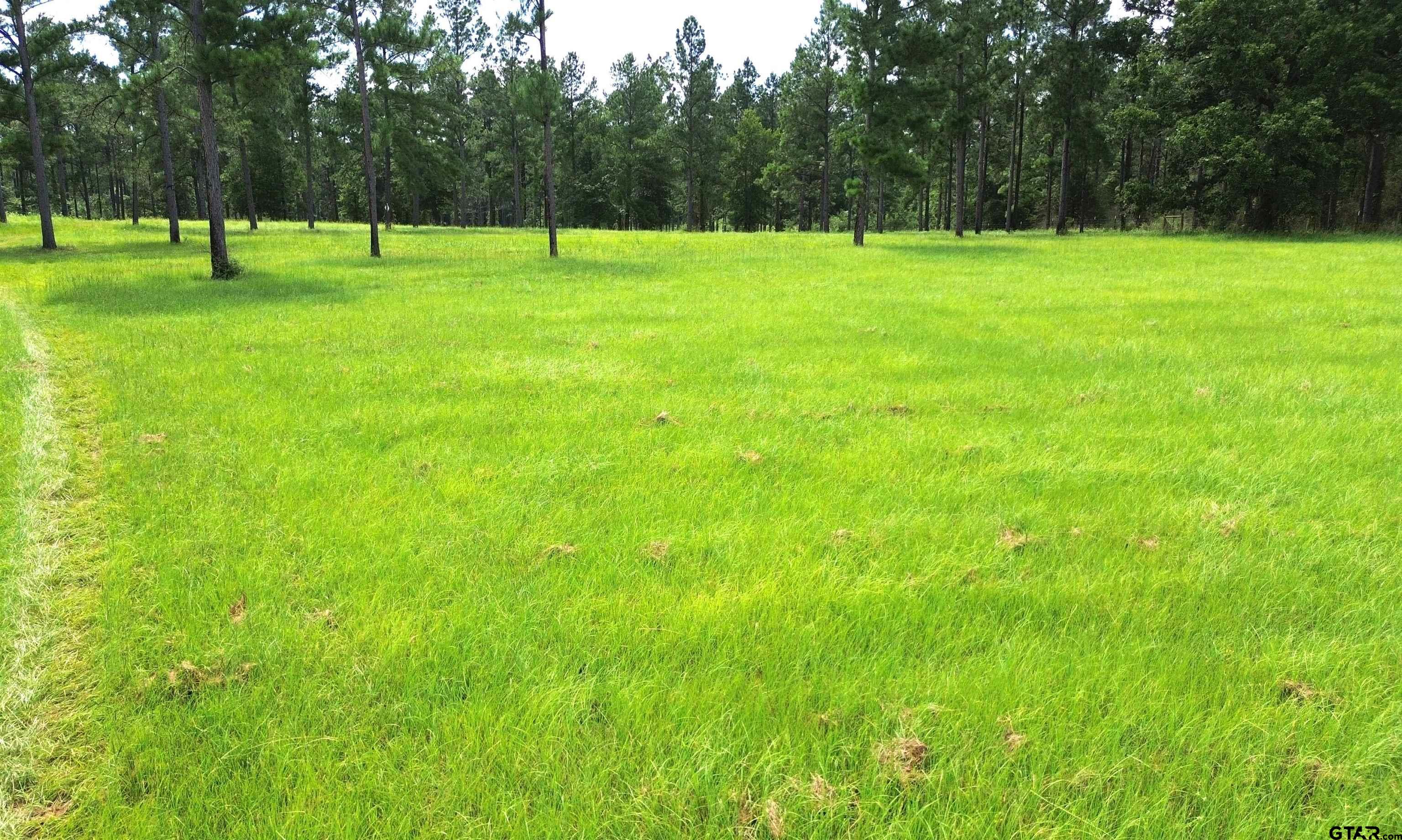 1320 Buckhorn Creek Drive Property Photo 21