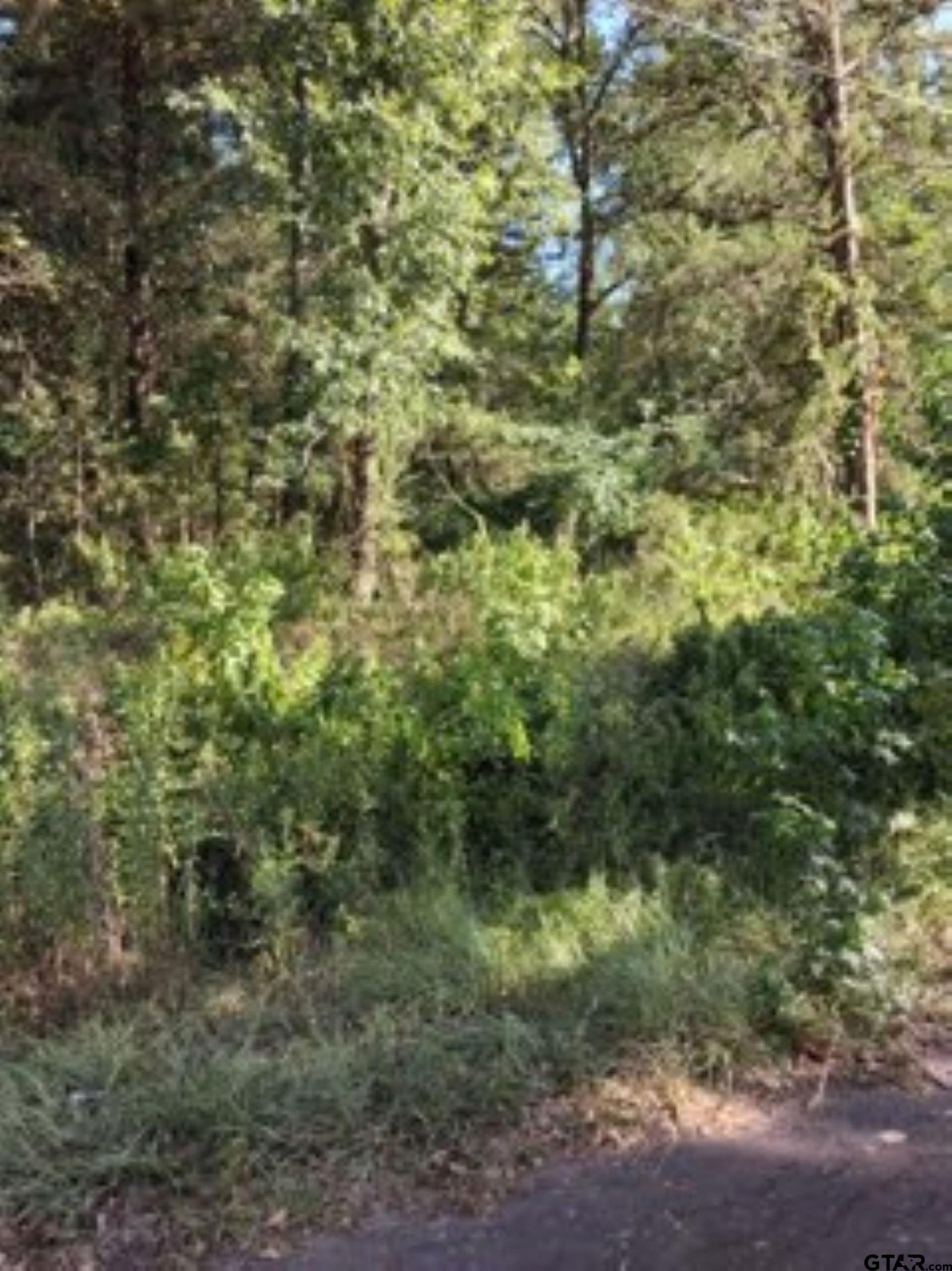 000 Dogwood Drive Property Photo 3