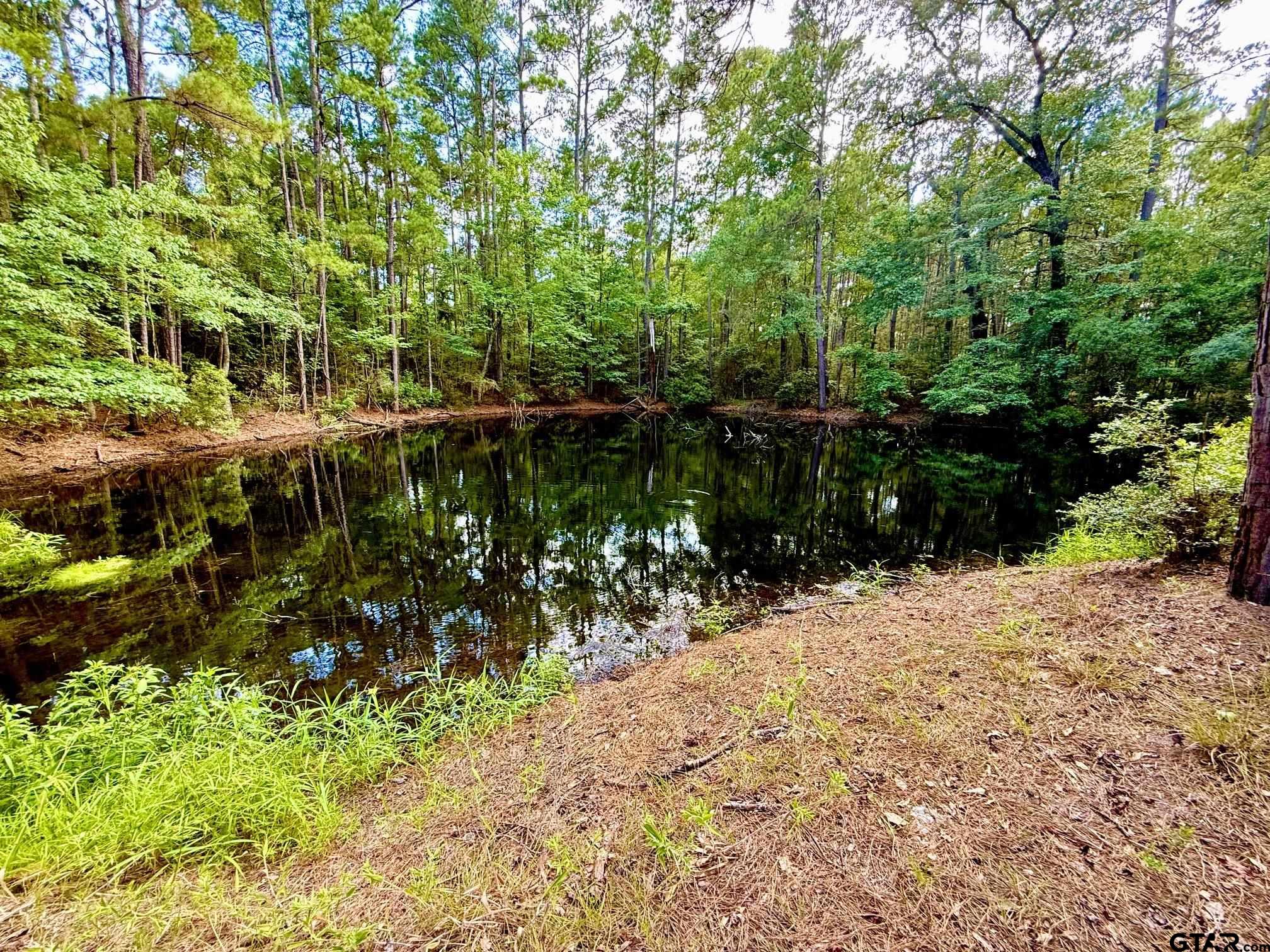 Tbd Cr 4740 Property Photo 1