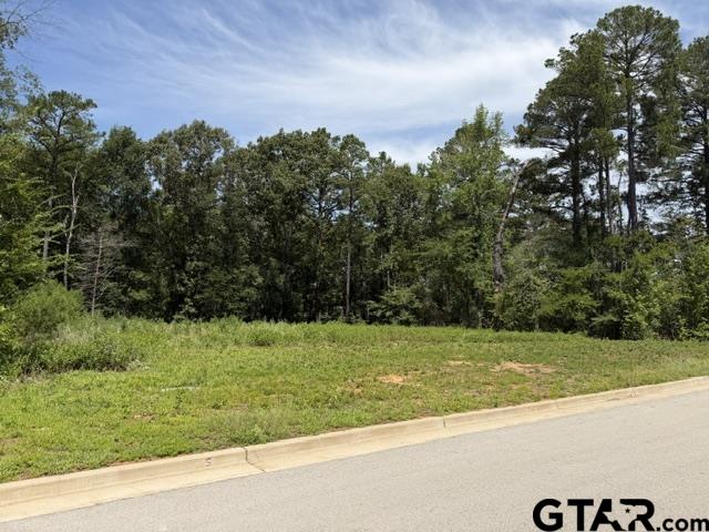 7929 Maple Ln Property Photo 2