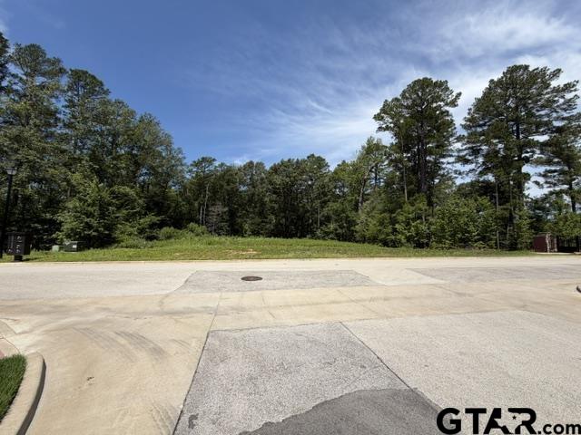 7929 Maple Ln Property Photo 3