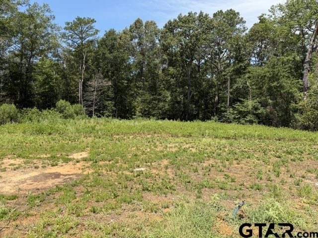 7929 Maple Ln Property Photo 5