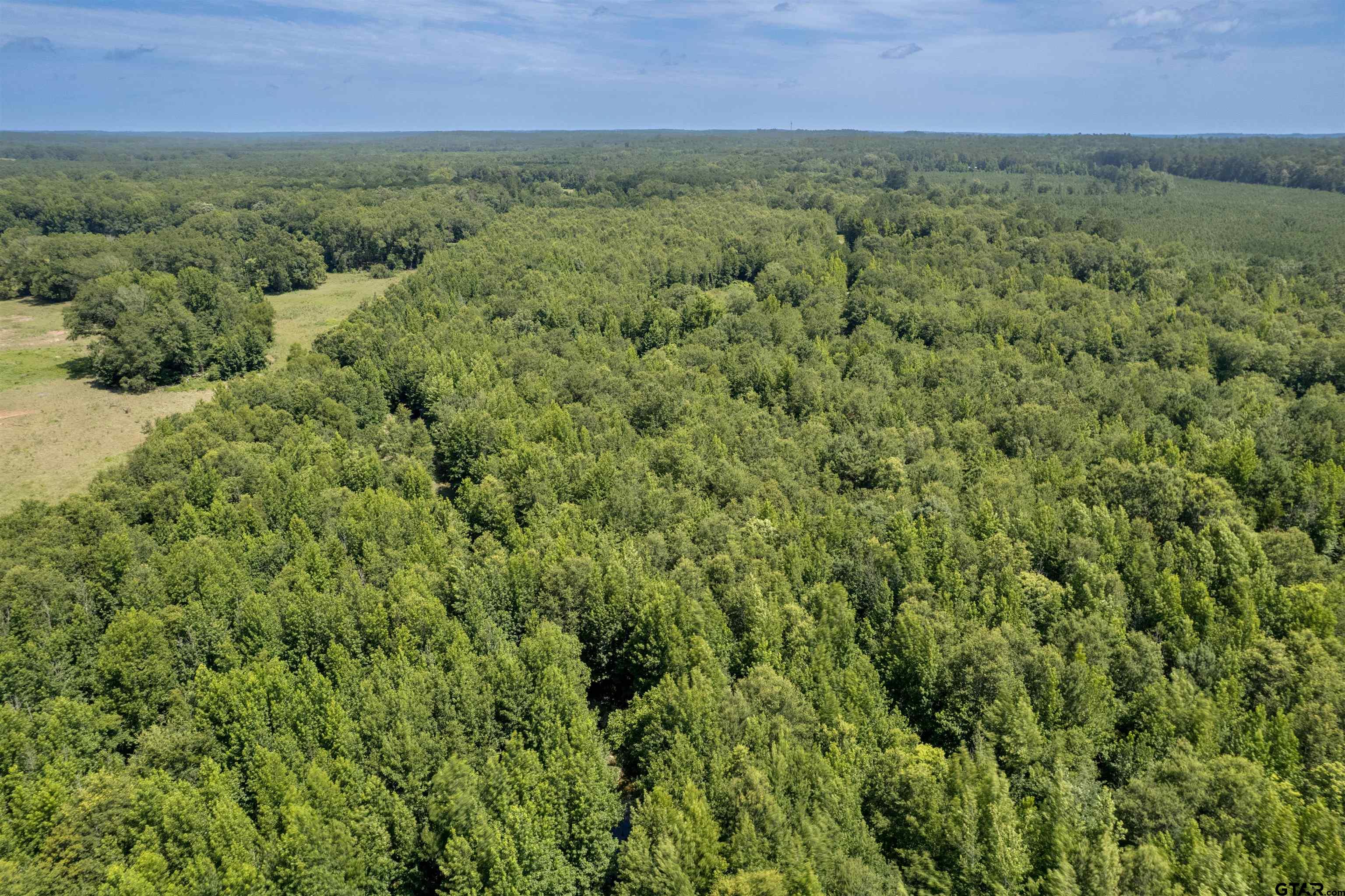 575 County Road 1920 Property Photo 3