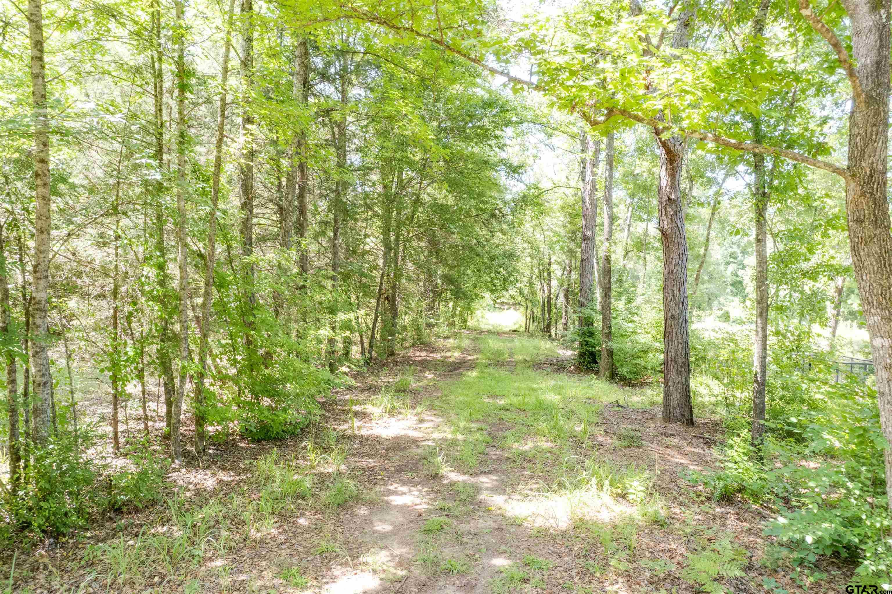 575 County Road 1920 Property Photo 4
