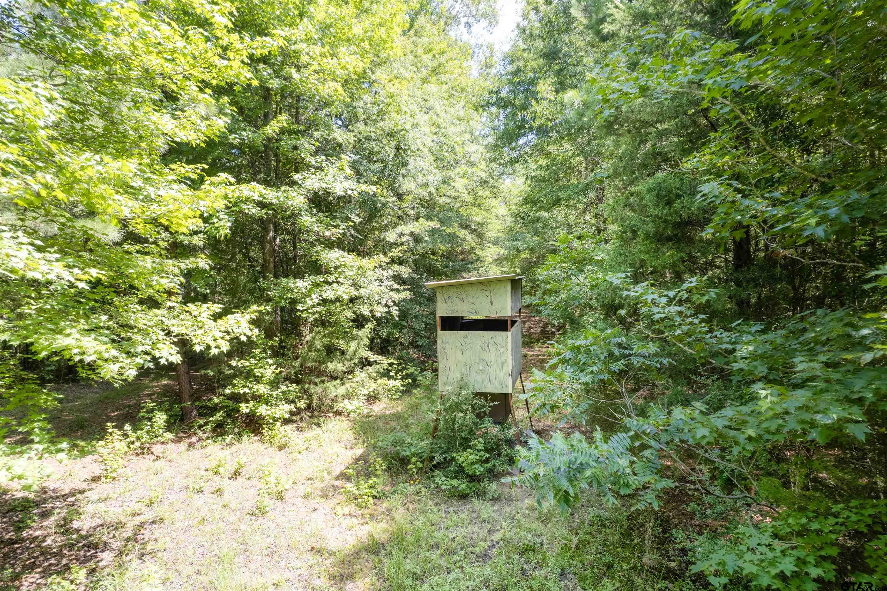 575 County Road 1920 Property Photo 5