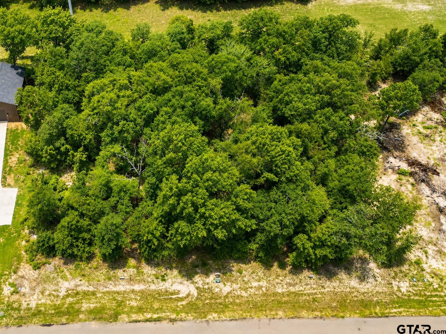 Tbd Pr 6305 Lot 61 Property Photo 5