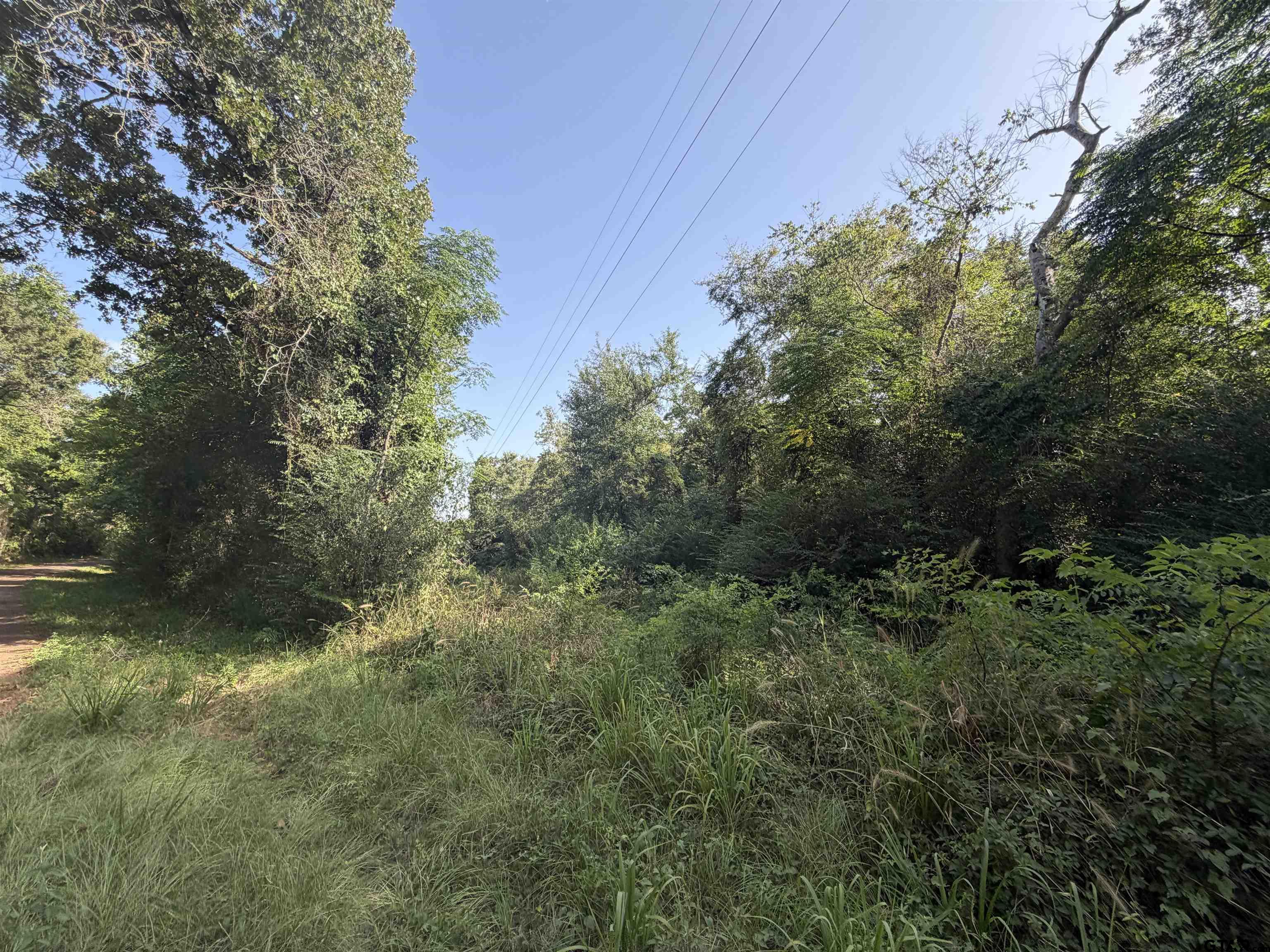 000 Cr 4411 2.69 Acres Property Photo 4