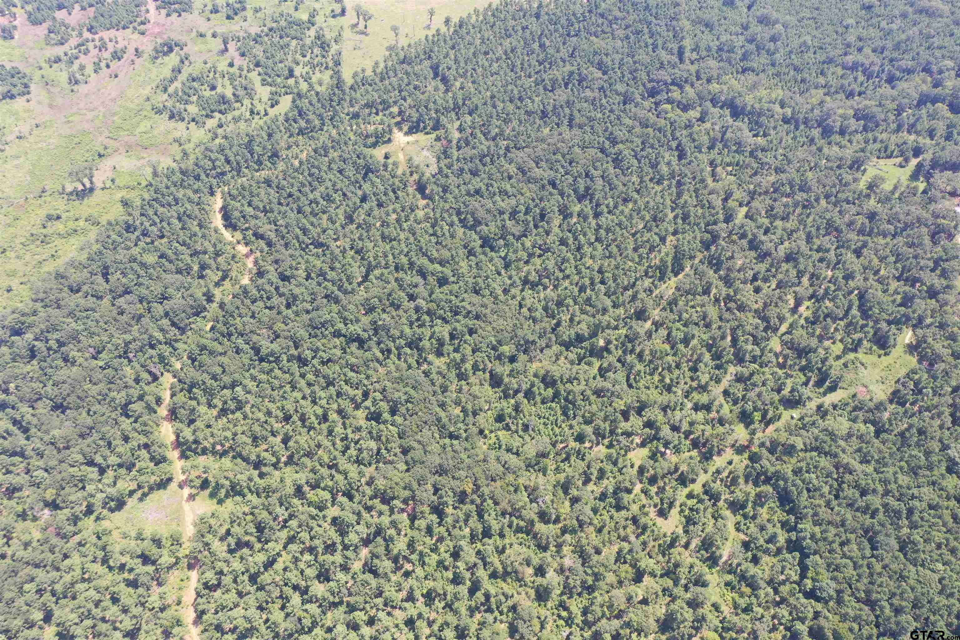 Tbd E Hwy 84 Property Photo 2