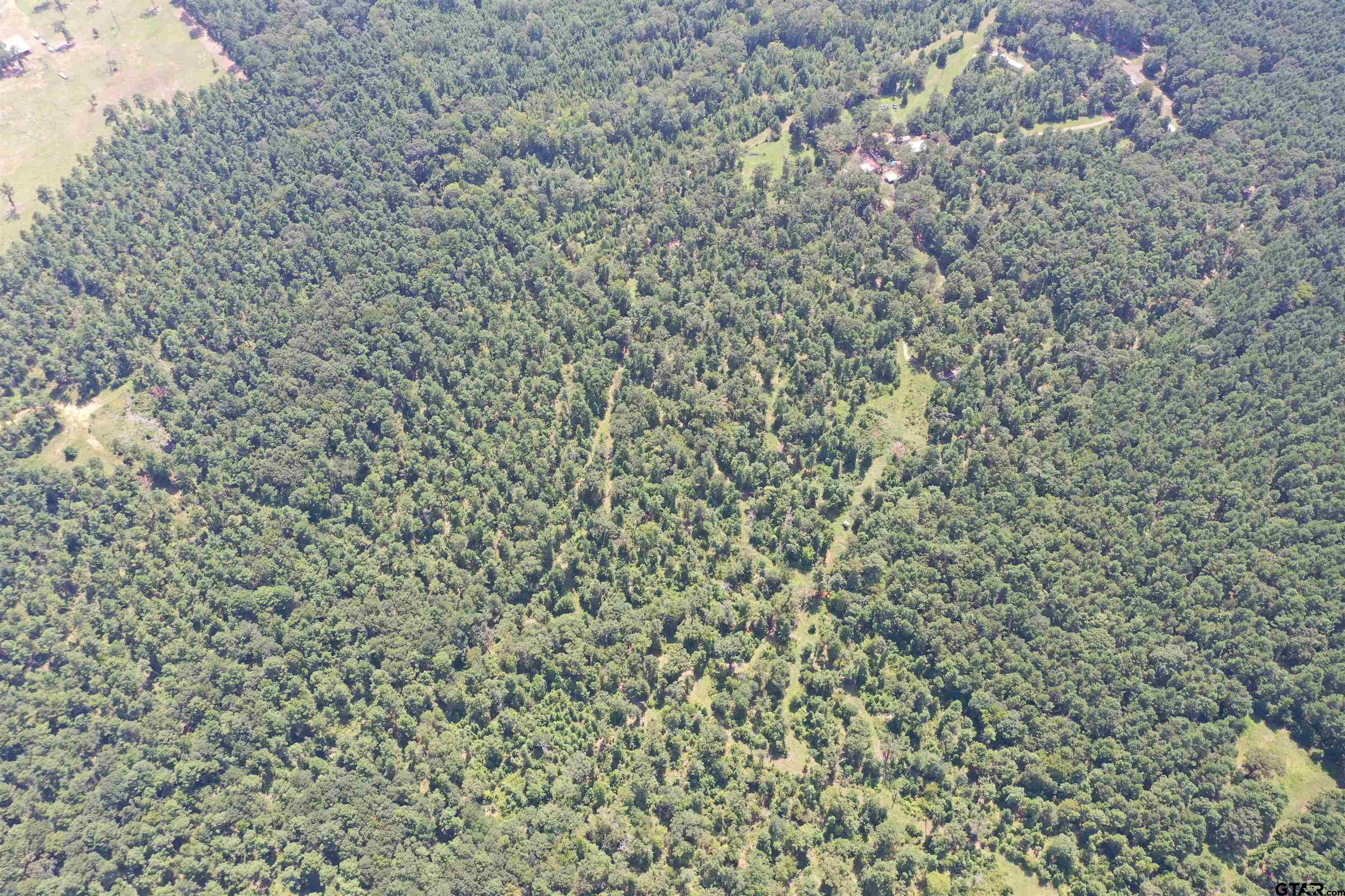 Tbd E Hwy 84 Property Photo 4