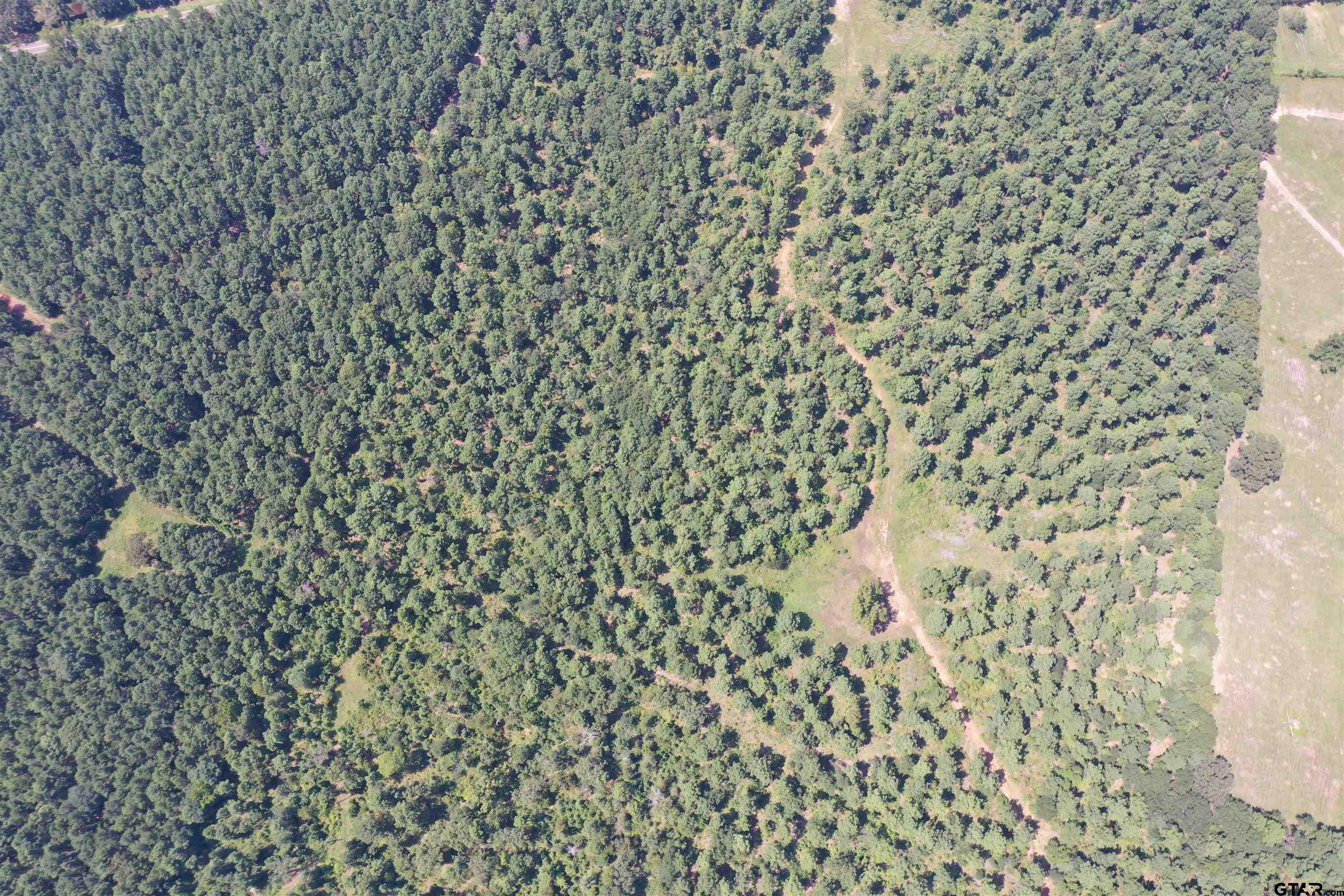Tbd E Hwy 84 Property Photo 7