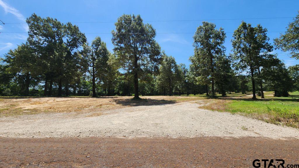 151 Bluewood Rd Property Photo 3