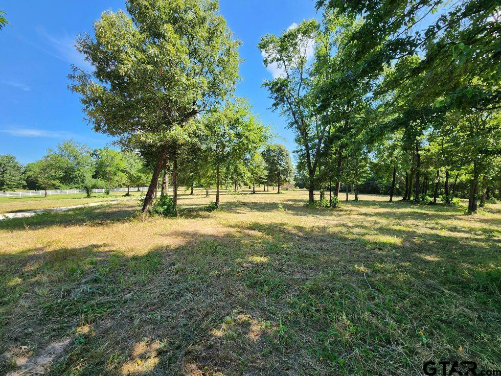 151 Bluewood Rd Property Photo 4